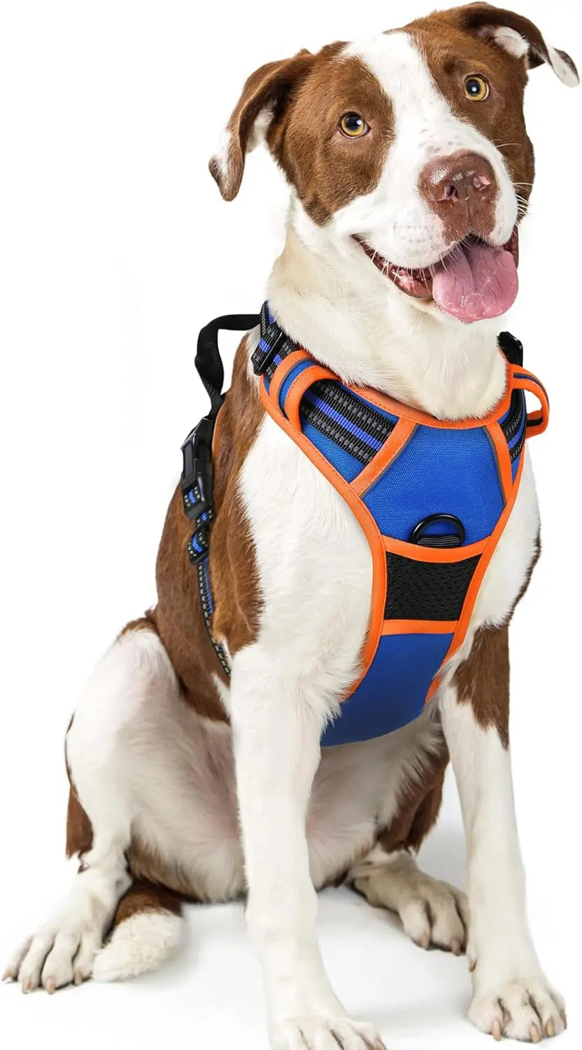 No Pull Dog Harness Reflective Adjustable Oxford Vest Dogs Control (All Sizes) Blue Orange Large