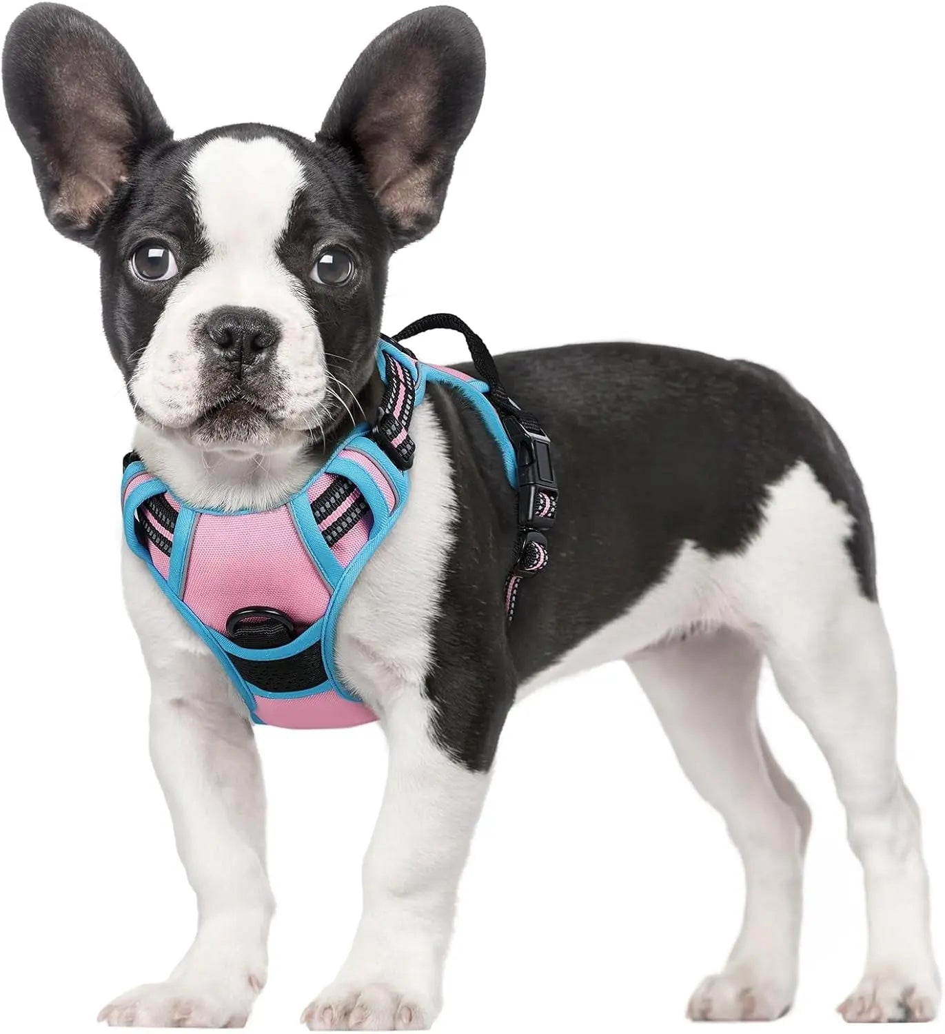 No Pull Dog Harness Reflective Adjustable Oxford Vest Dogs Control (All Sizes) Pink Blue Small