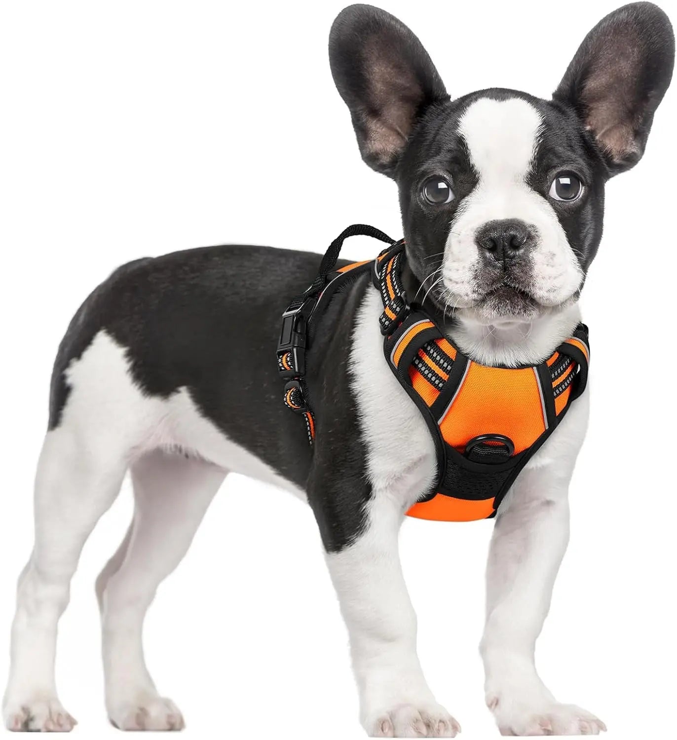 No Pull Dog Harness Reflective Adjustable Oxford Vest Dogs Control (All Sizes) Orange Small