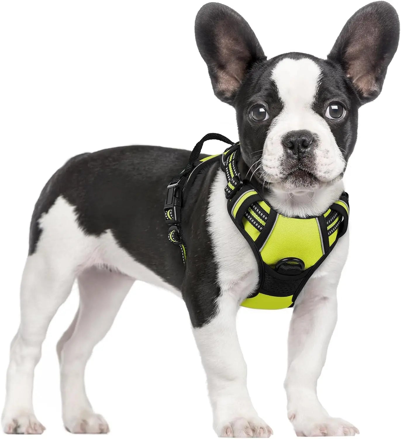 No Pull Dog Harness Reflective Adjustable Oxford Vest Dogs Control (All Sizes) Wild Lime Small
