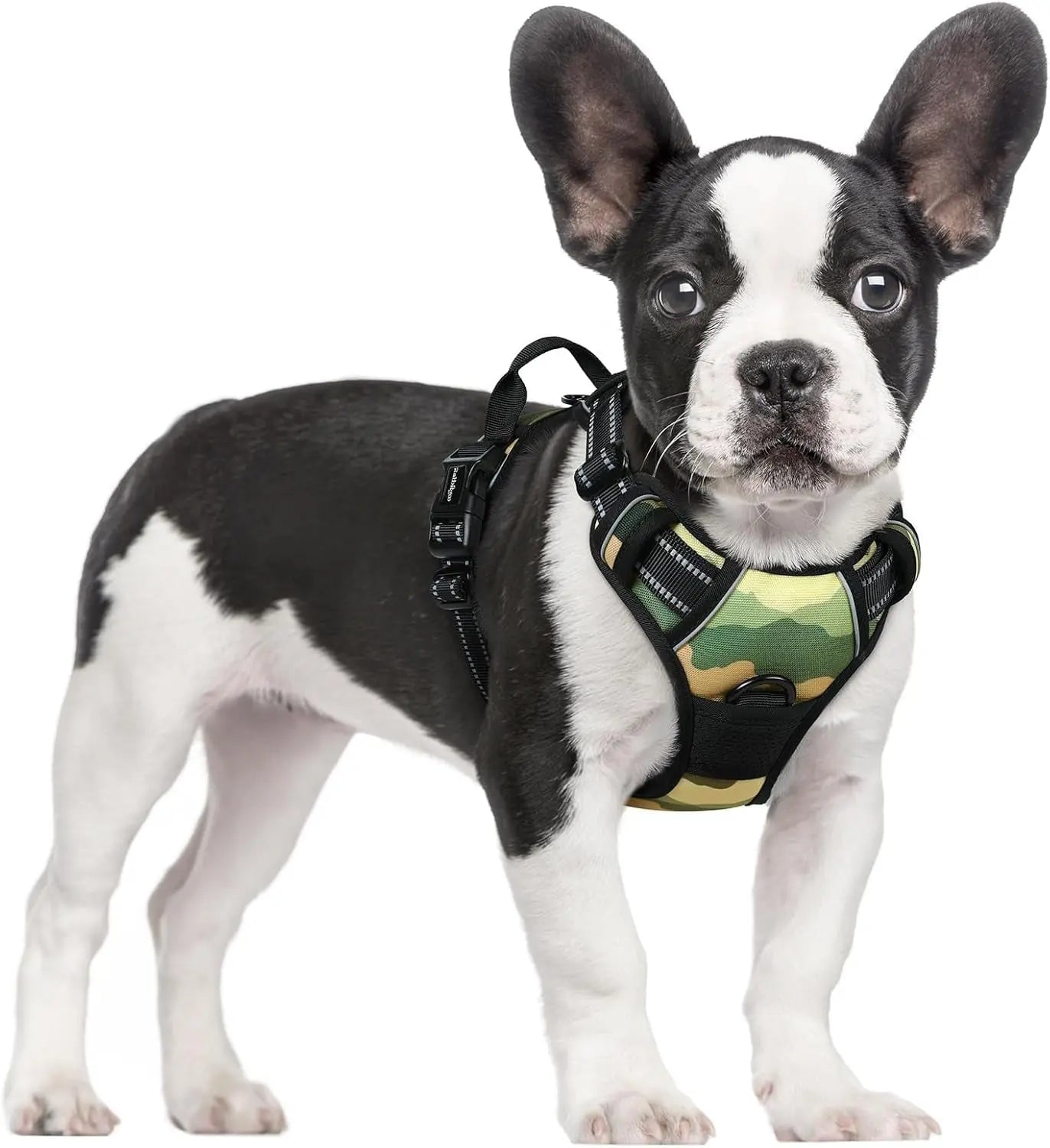 No Pull Dog Harness Reflective Adjustable Oxford Vest Dogs Control (All Sizes) Green Mountain Small
