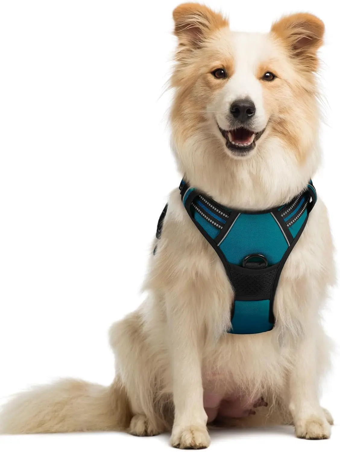 No Pull Dog Harness Reflective Adjustable Oxford Vest Dogs Control (All Sizes) Blue Coral Medium