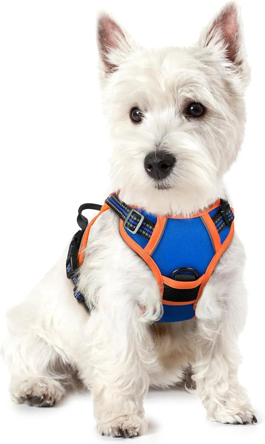 No Pull Dog Harness Reflective Adjustable Oxford Vest Dogs Control (All Sizes) Blue Orange X-Small