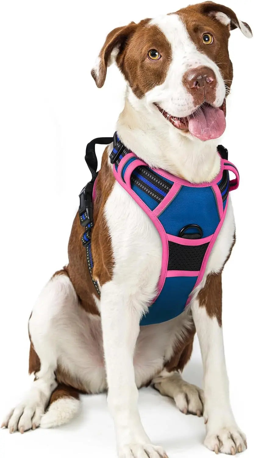 No Pull Dog Harness Reflective Adjustable Oxford Vest Dogs Control (All Sizes) Blue Hot Pink Large