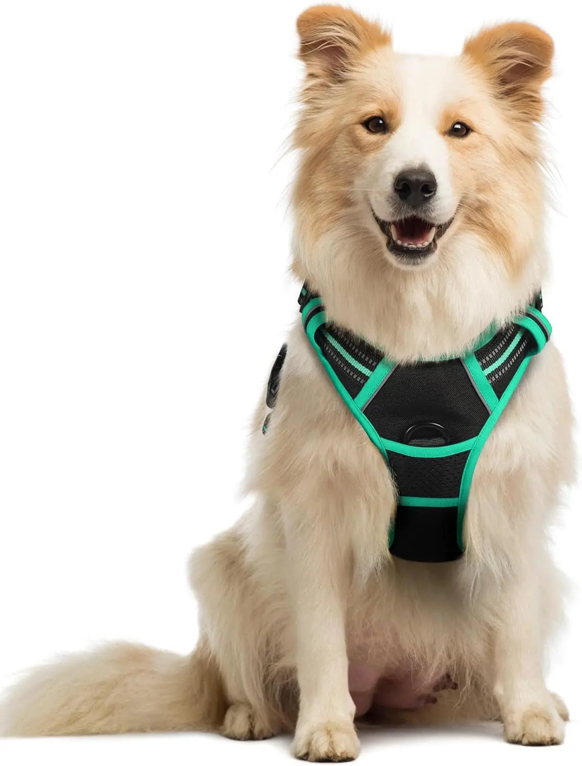 No Pull Dog Harness Reflective Adjustable Oxford Vest Dogs Control (All Sizes) Black Turquoise Medium