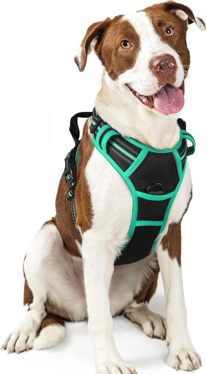 No Pull Dog Harness Reflective Adjustable Oxford Vest Dogs Control (All Sizes) Black Turquoise Large