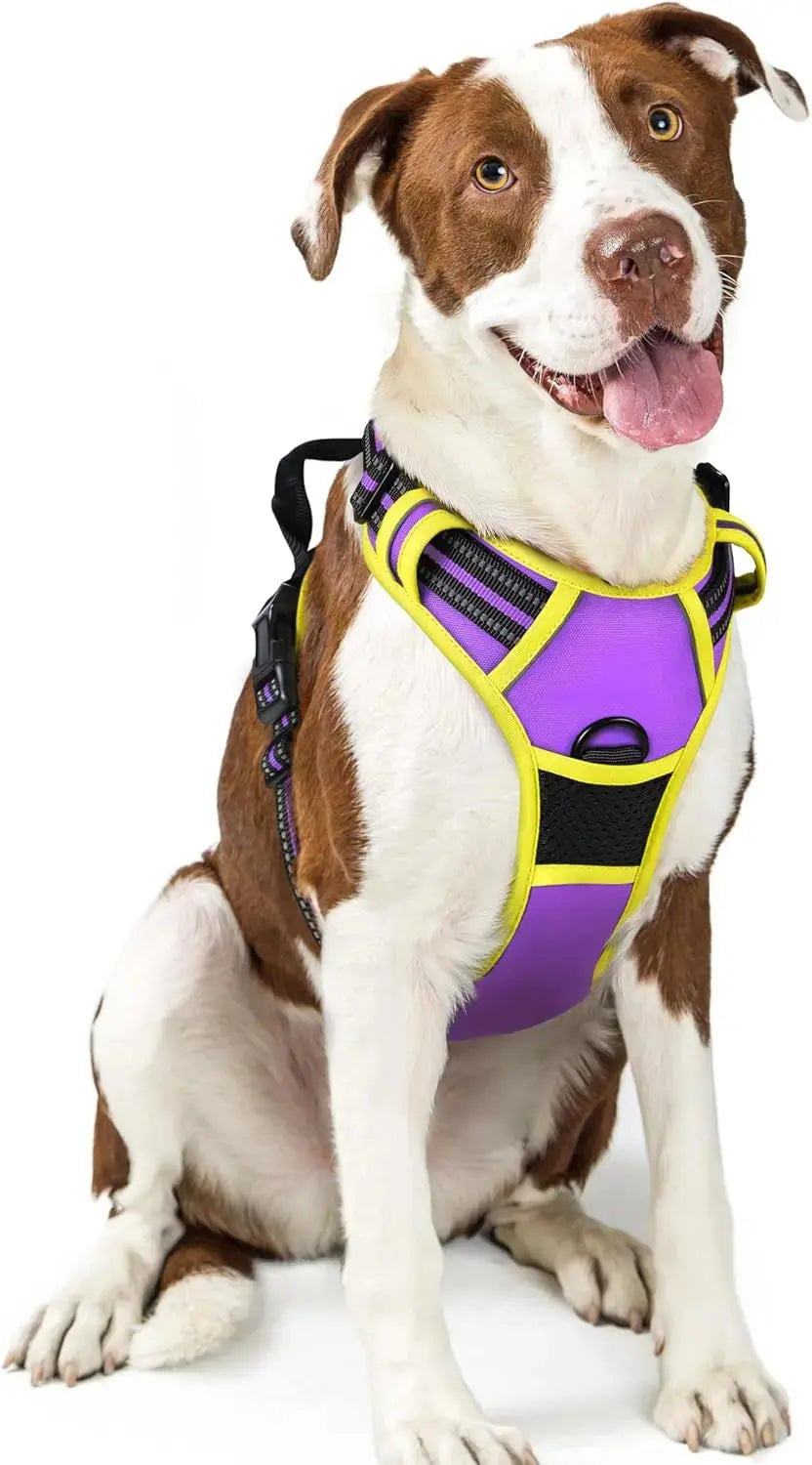 No Pull Dog Harness Reflective Adjustable Oxford Vest Dogs Control (All Sizes) Purple Yellow Large