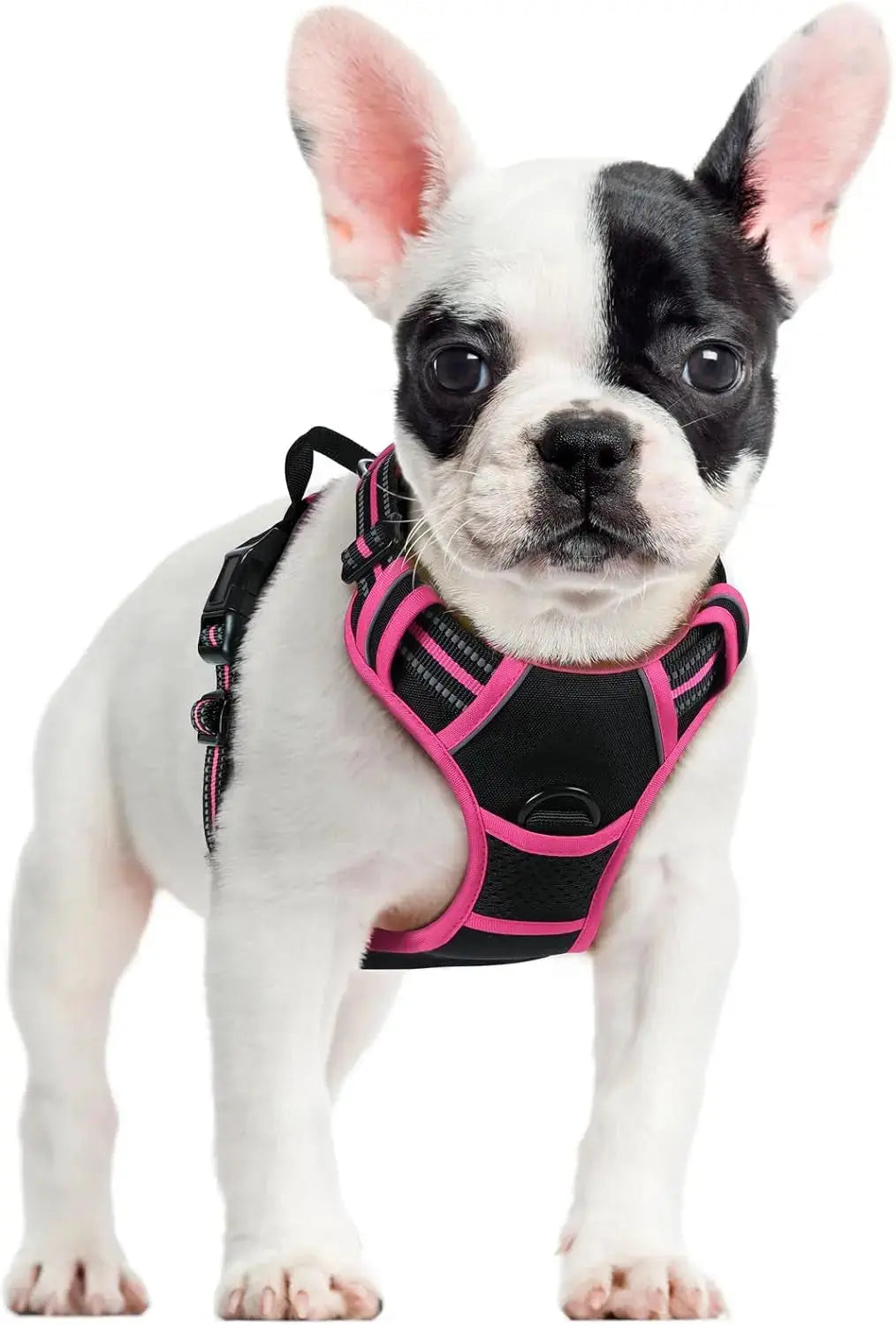 No Pull Dog Harness Reflective Adjustable Oxford Vest Dogs Control (All Sizes) Black Hot Pink Small