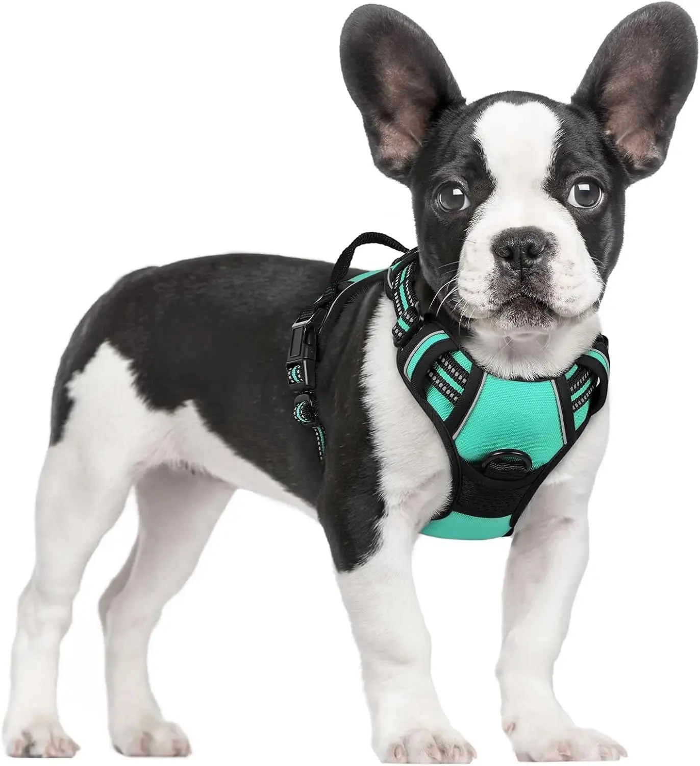 No Pull Dog Harness Reflective Adjustable Oxford Vest Dogs Control (All Sizes) Turquoise Small
