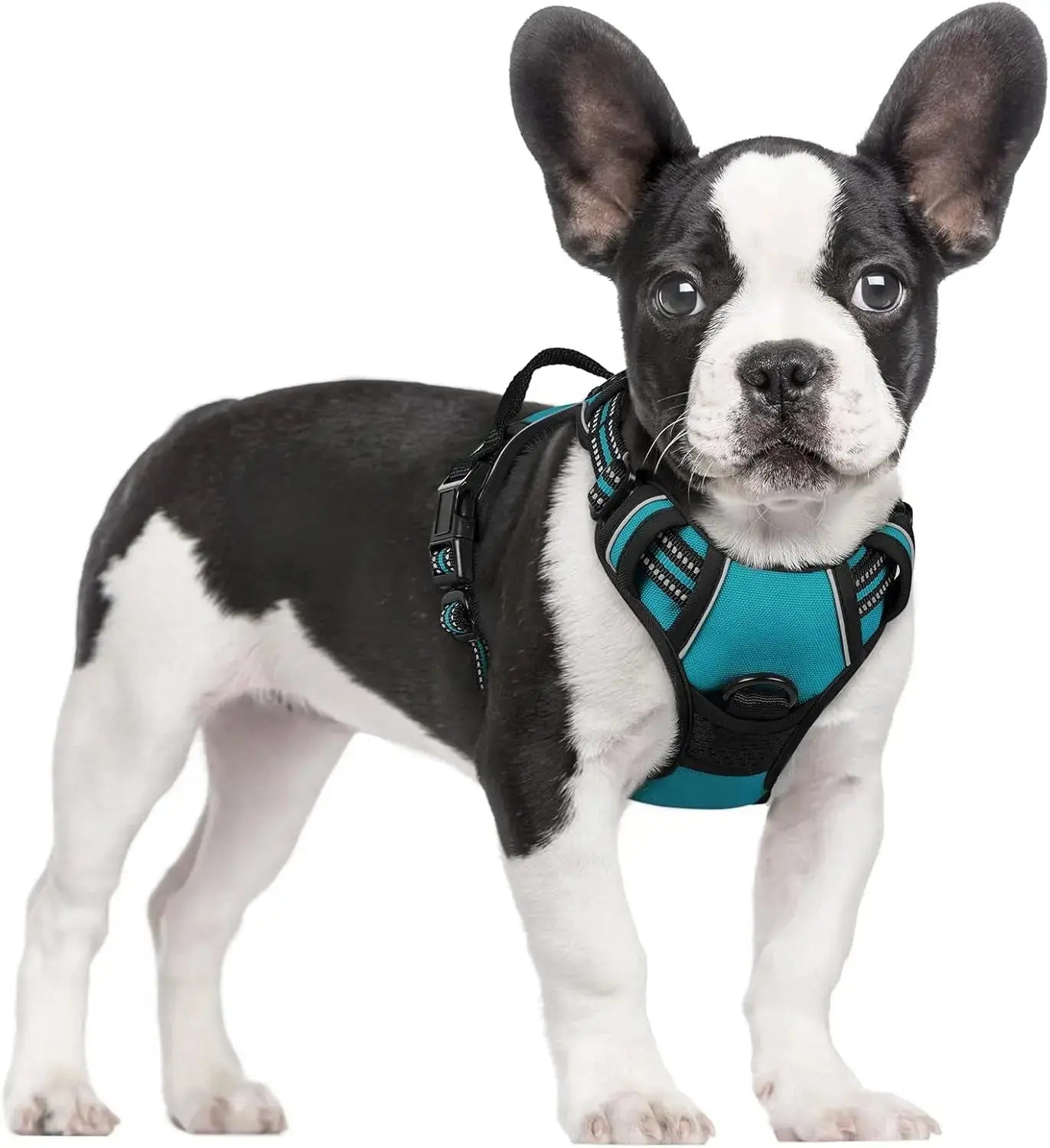 No Pull Dog Harness Reflective Adjustable Oxford Vest Dogs Control (All Sizes) Teal Small