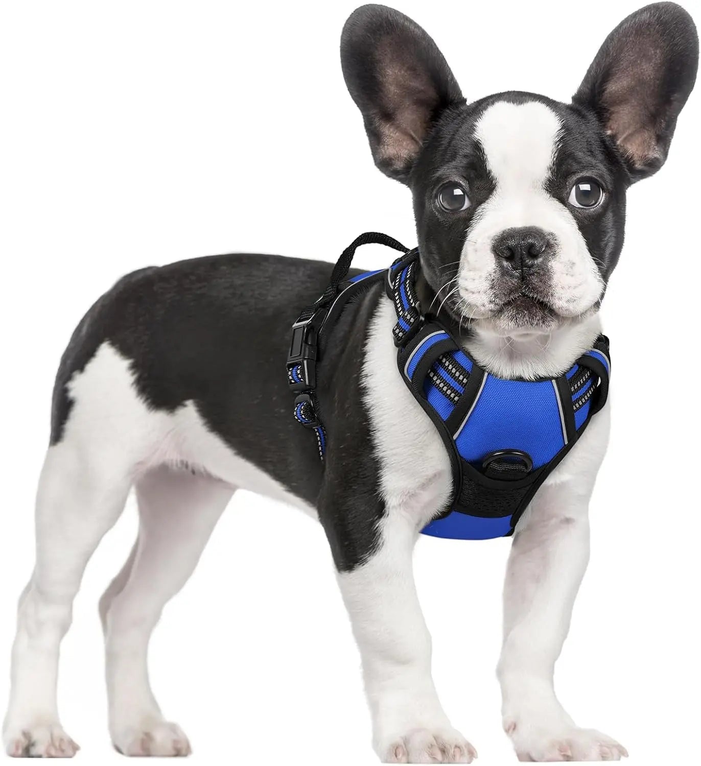 No Pull Dog Harness Reflective Adjustable Oxford Vest Dogs Control (All Sizes) Dazzling Blue Small