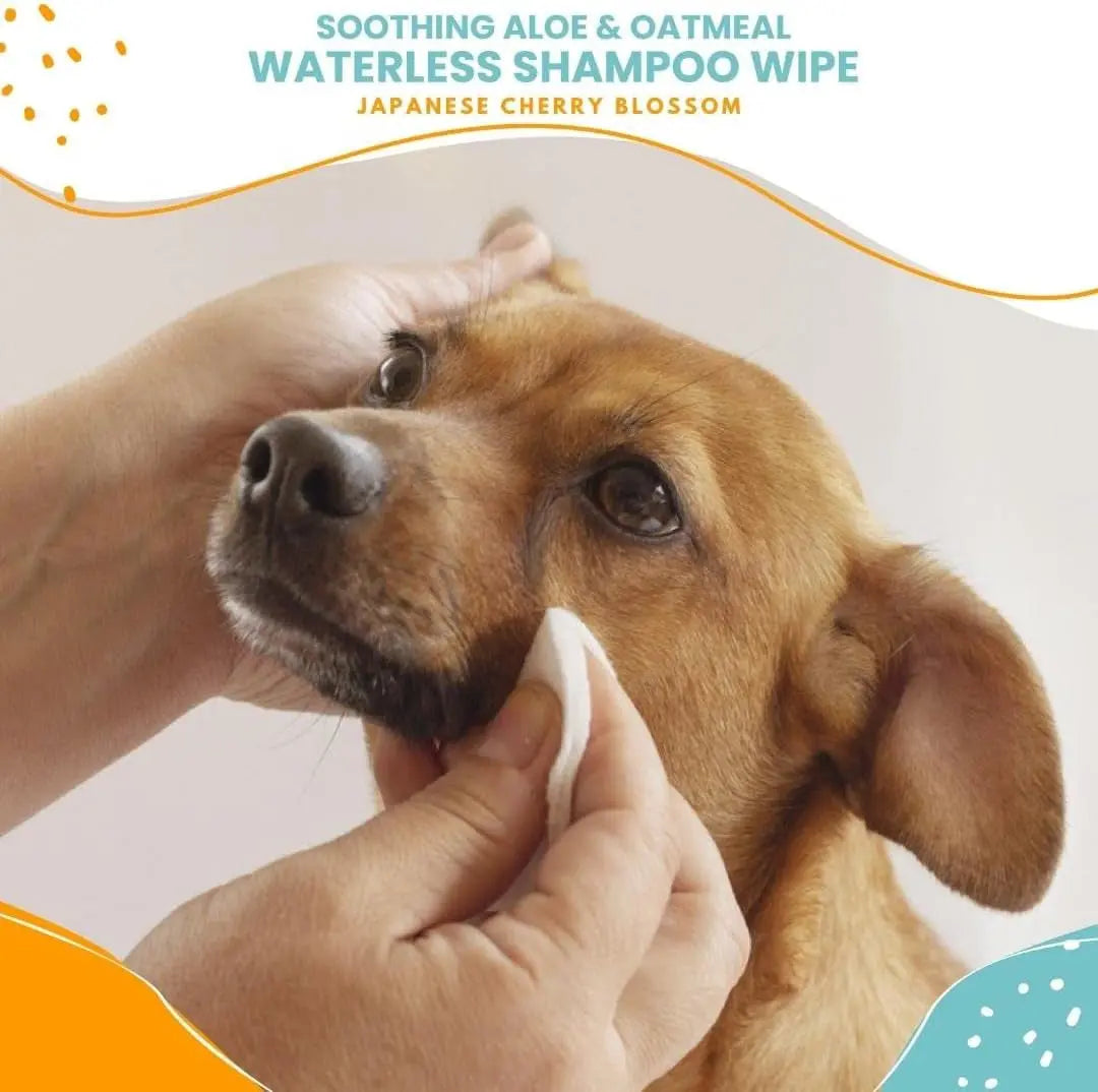 Nootie Dog Cat Waterless Shampoo Wipes Deodorizing Japanese Cherry Blossom 70ct