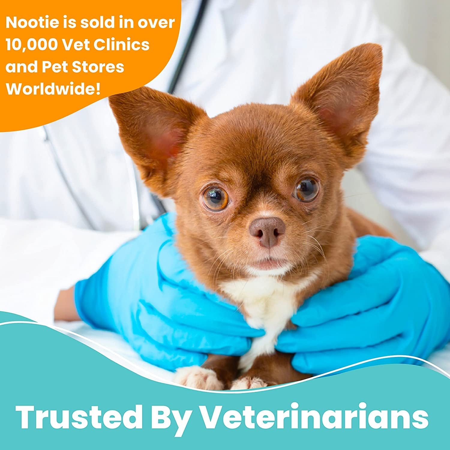Nootie Medicated Dog & Cat Wipes 2% Chlorhexidine 2% Miconazole 70 Count XL
