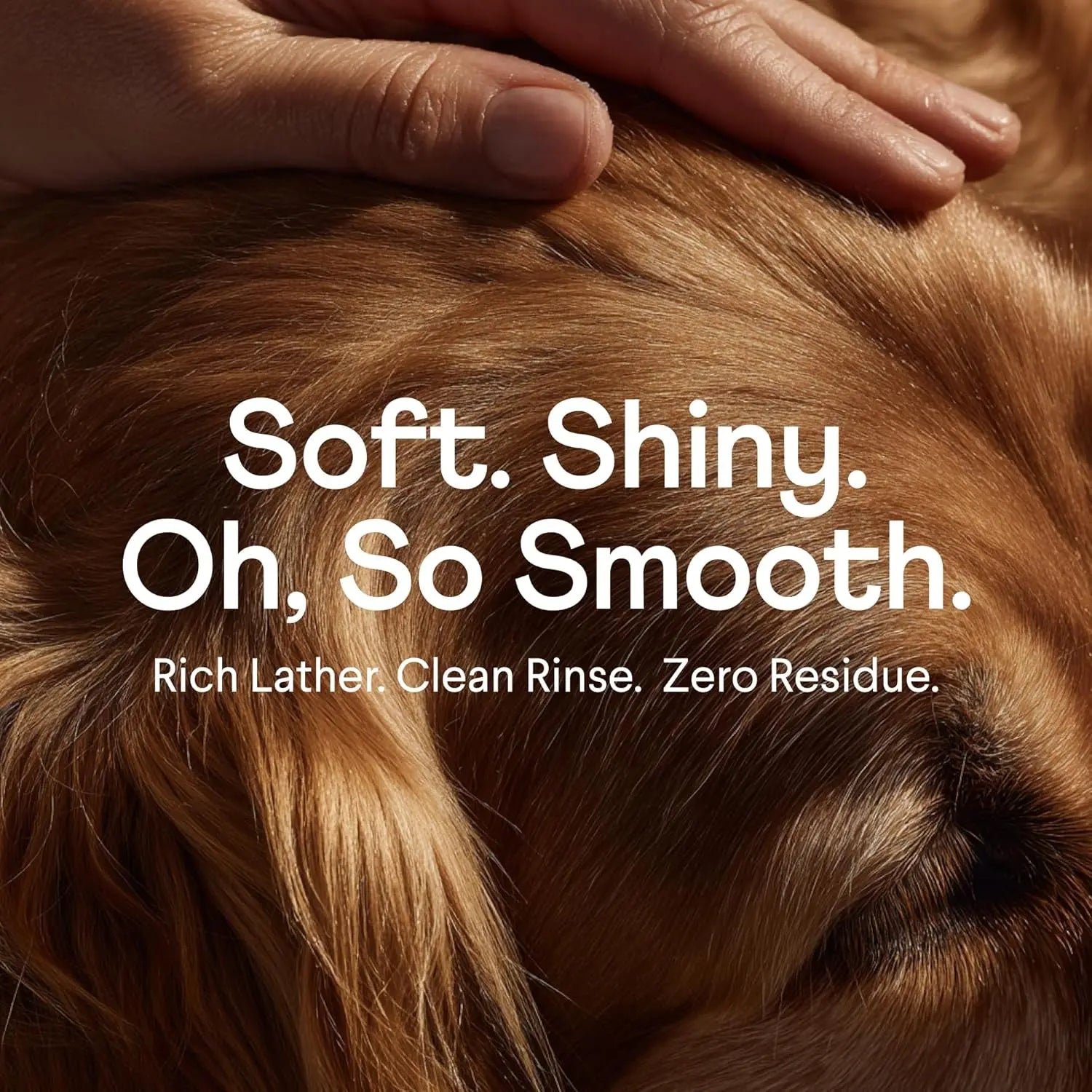 Oatmeal Dog Shampoo Itchy Skin Allergy Relief Aloe Chamomile Sulfate Free