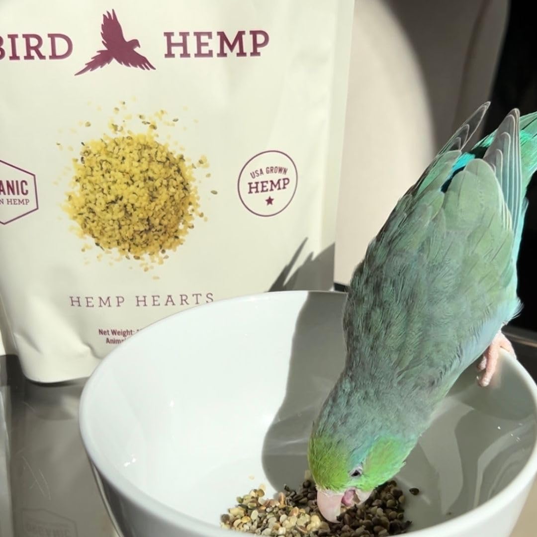 Organic Hemp Hearts for Birds Feather Plucking Support Relaxation 8oz