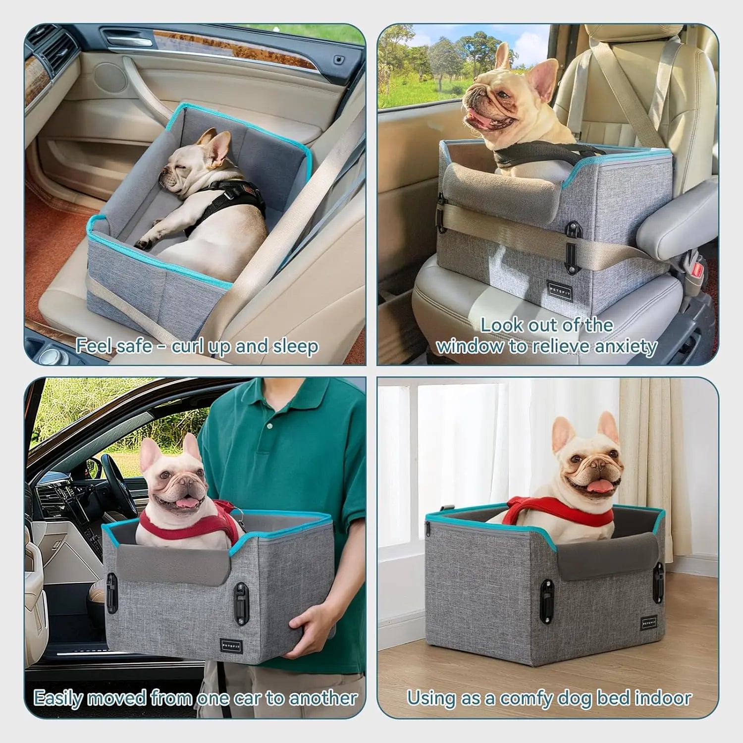 PETSFIT Small Dog Booster Car Seat with Safety Buckles & Tether, Foldable
