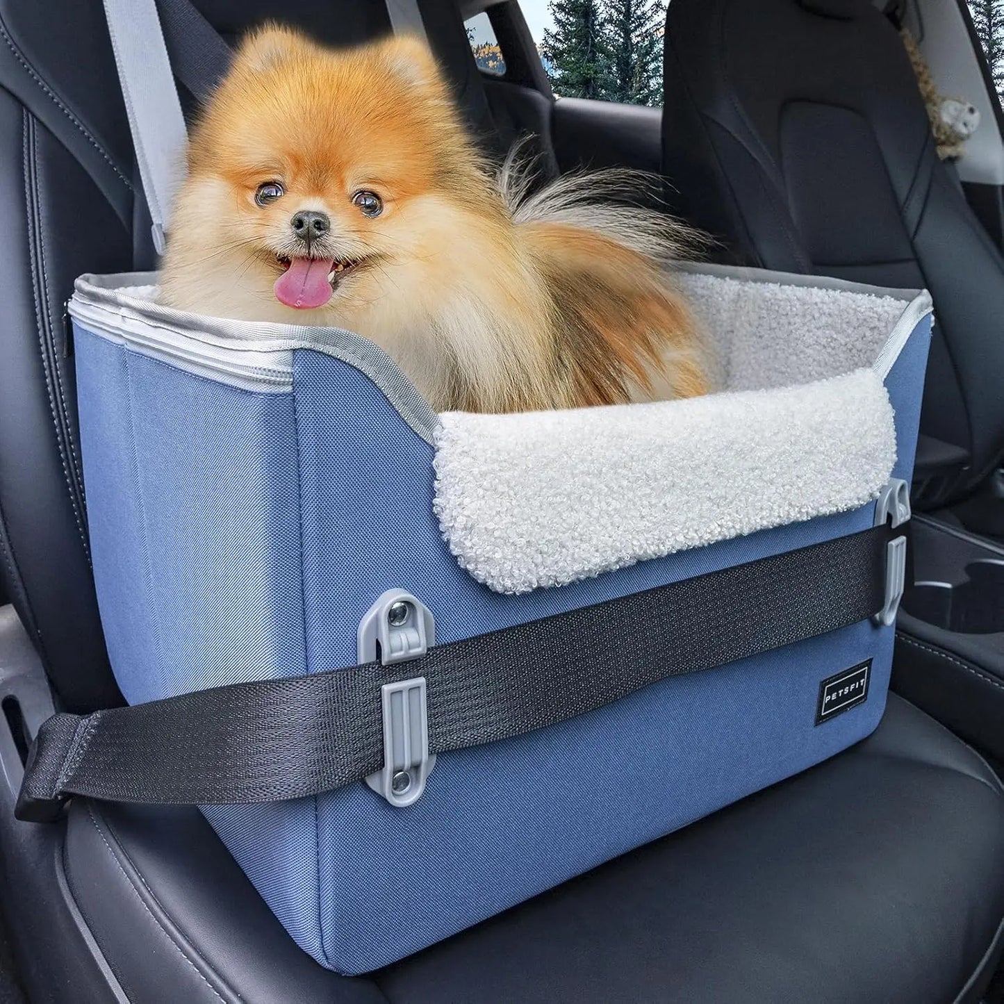 PETSFIT Small Dog Booster Car Seat with Safety Buckles & Tether, Foldable Navy Blue Oxford Cloth