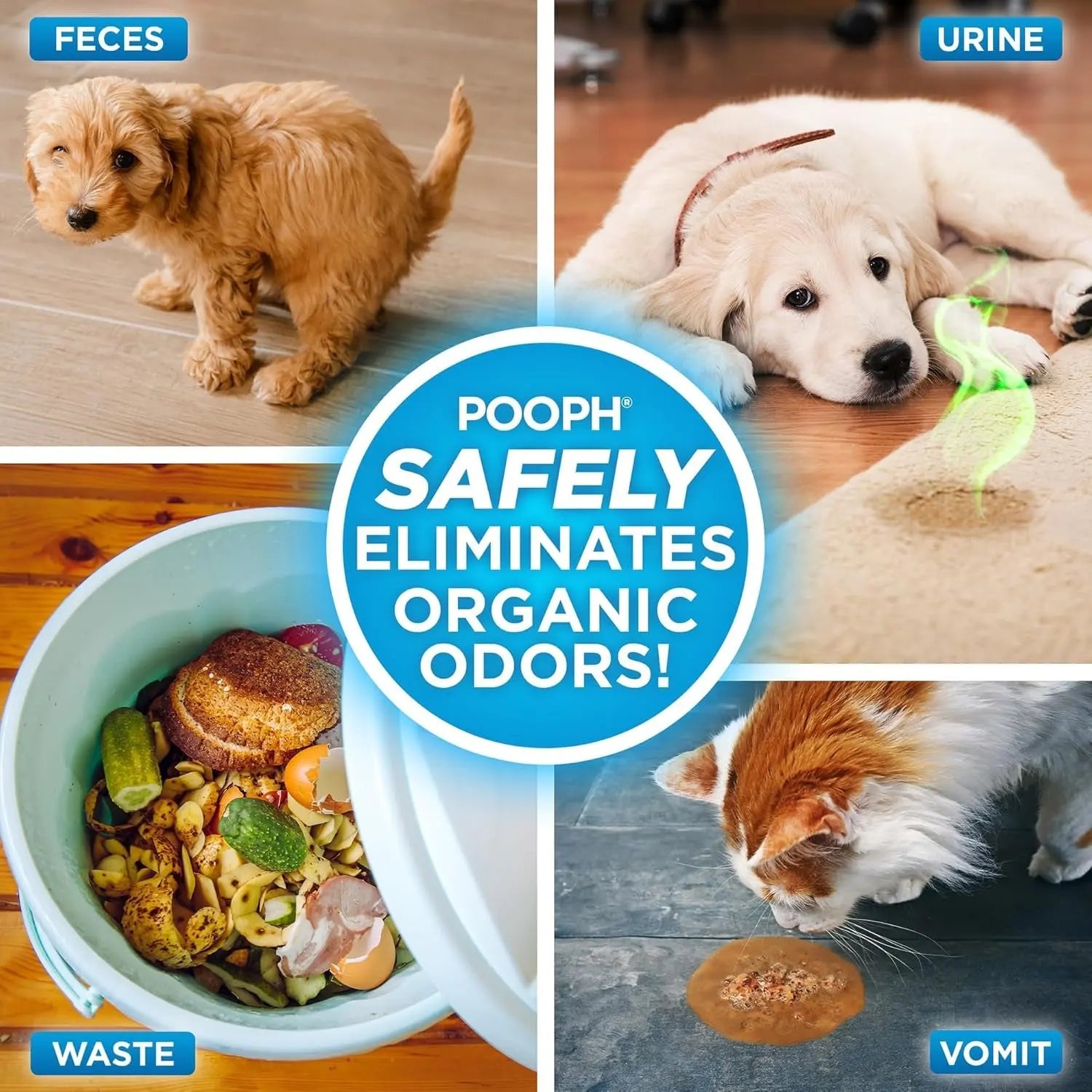 POOPH Pet Odor Eliminator Spray, 32 oz – Fragrance-Free Stain & Smell Remover