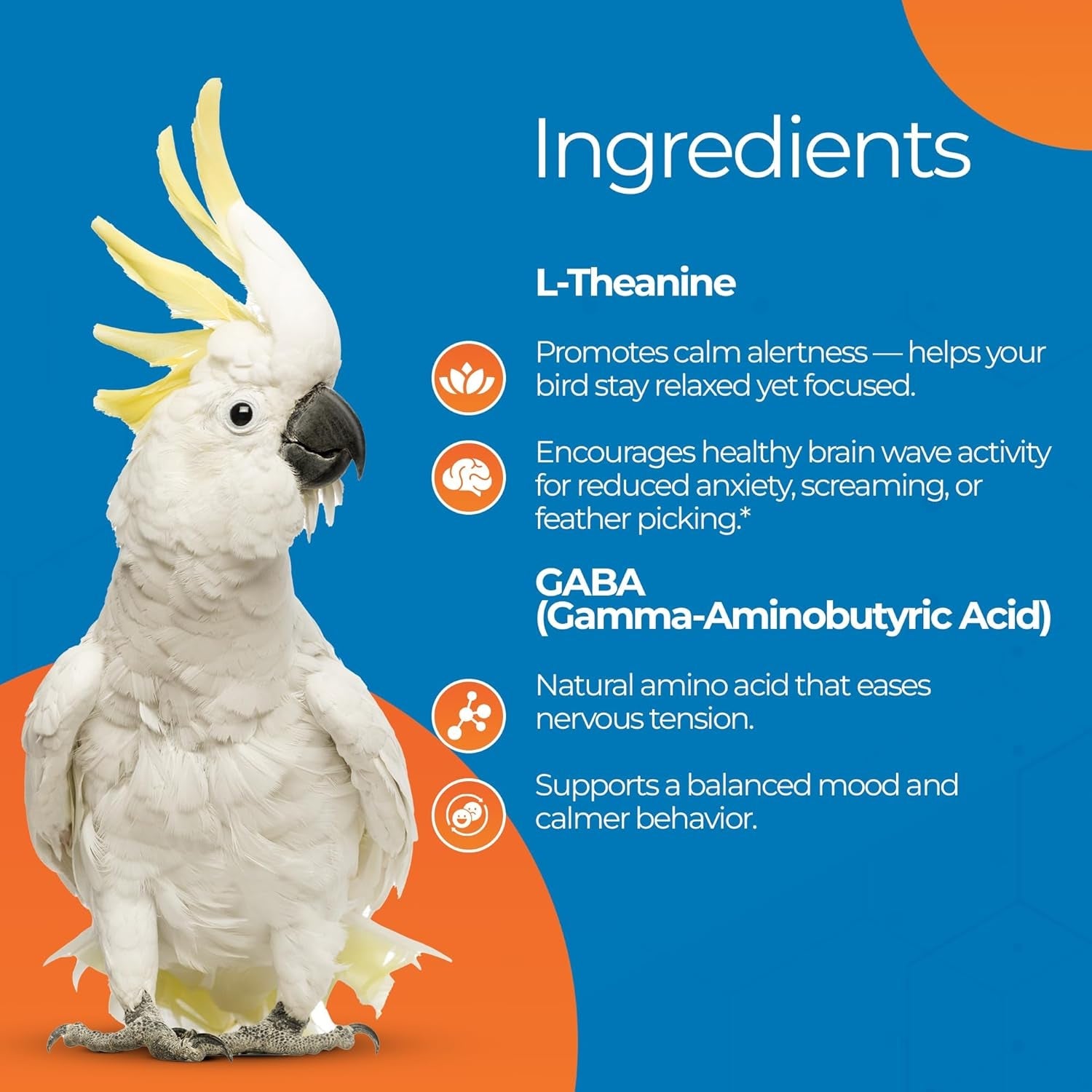 Parrot Calming Supplement Unruffledrx Bird Stress Relief Non Sedating 150 Servings