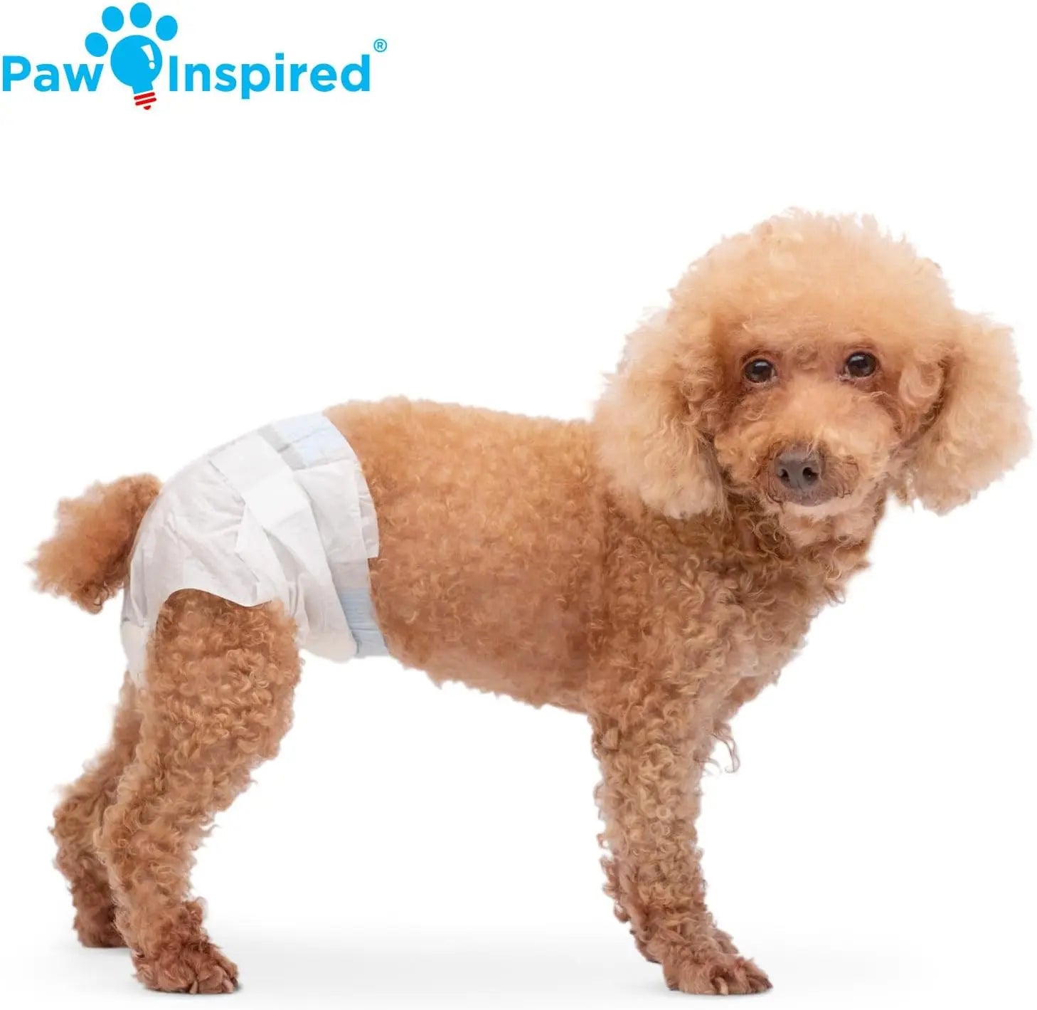 Paw Inspired Disposable Dog Diapers – Leakproof Protection for Dogs