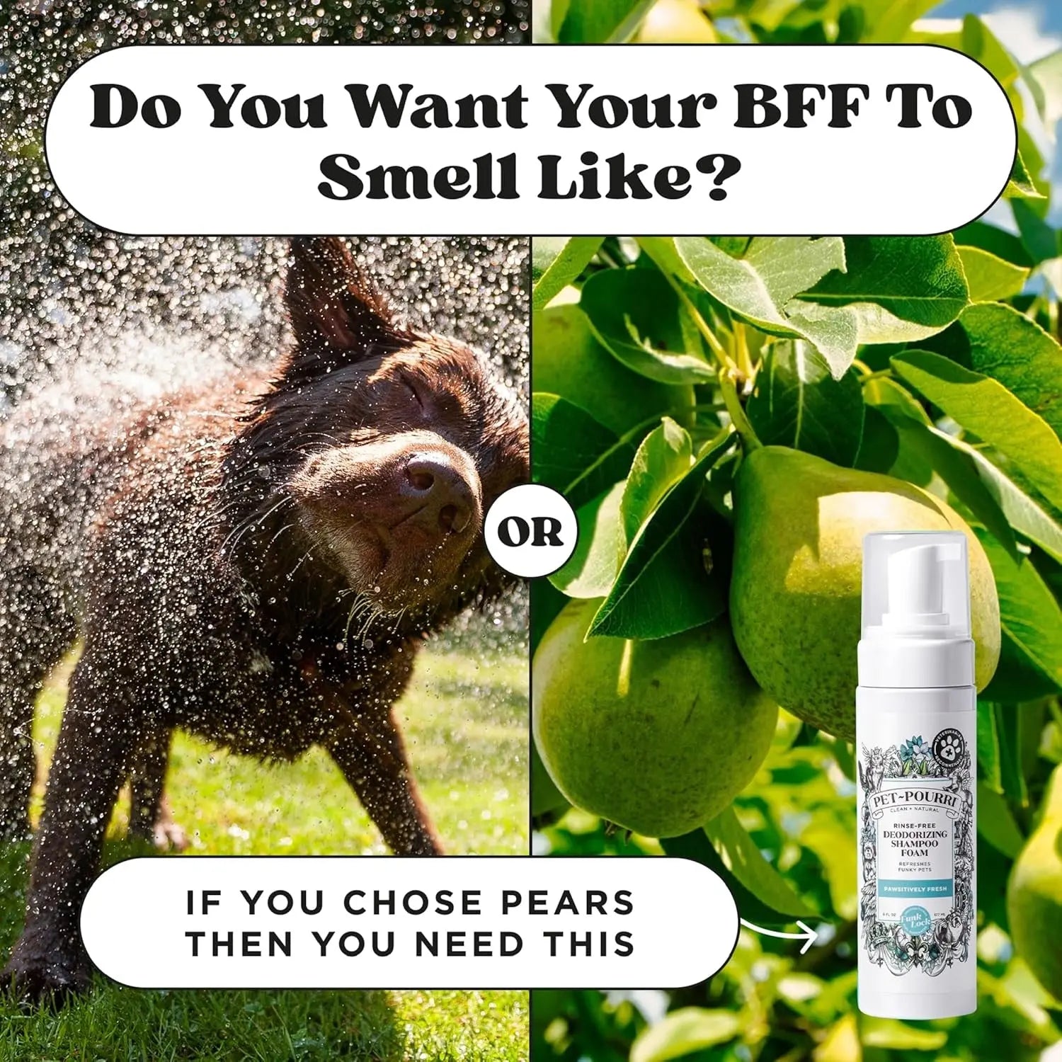 Pet Dry Shampoo No Rinse Foam Deodorizing Plant Based Dog Cat Odor