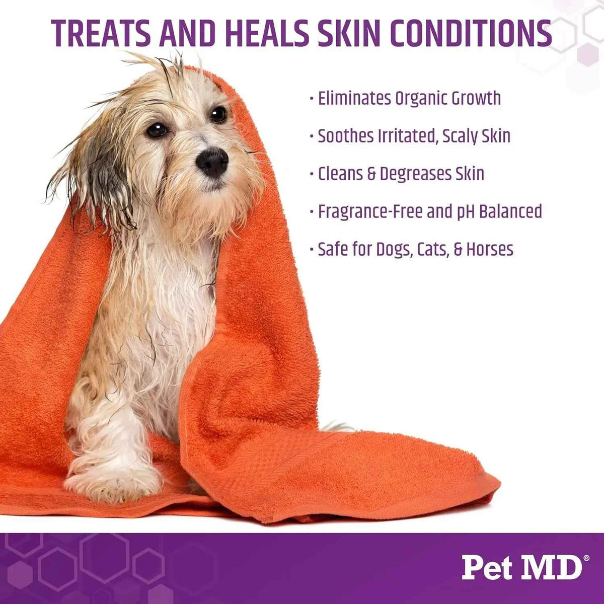 Pet MD Micoseb-CX Medicated Shampoo for Dogs, Cats & Horses – 12 Oz
