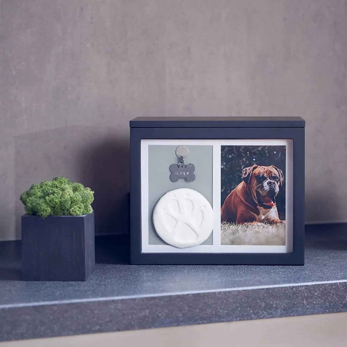 Pet Memorial Urn Keepsake Box – Paw Print Kit & Photo Album