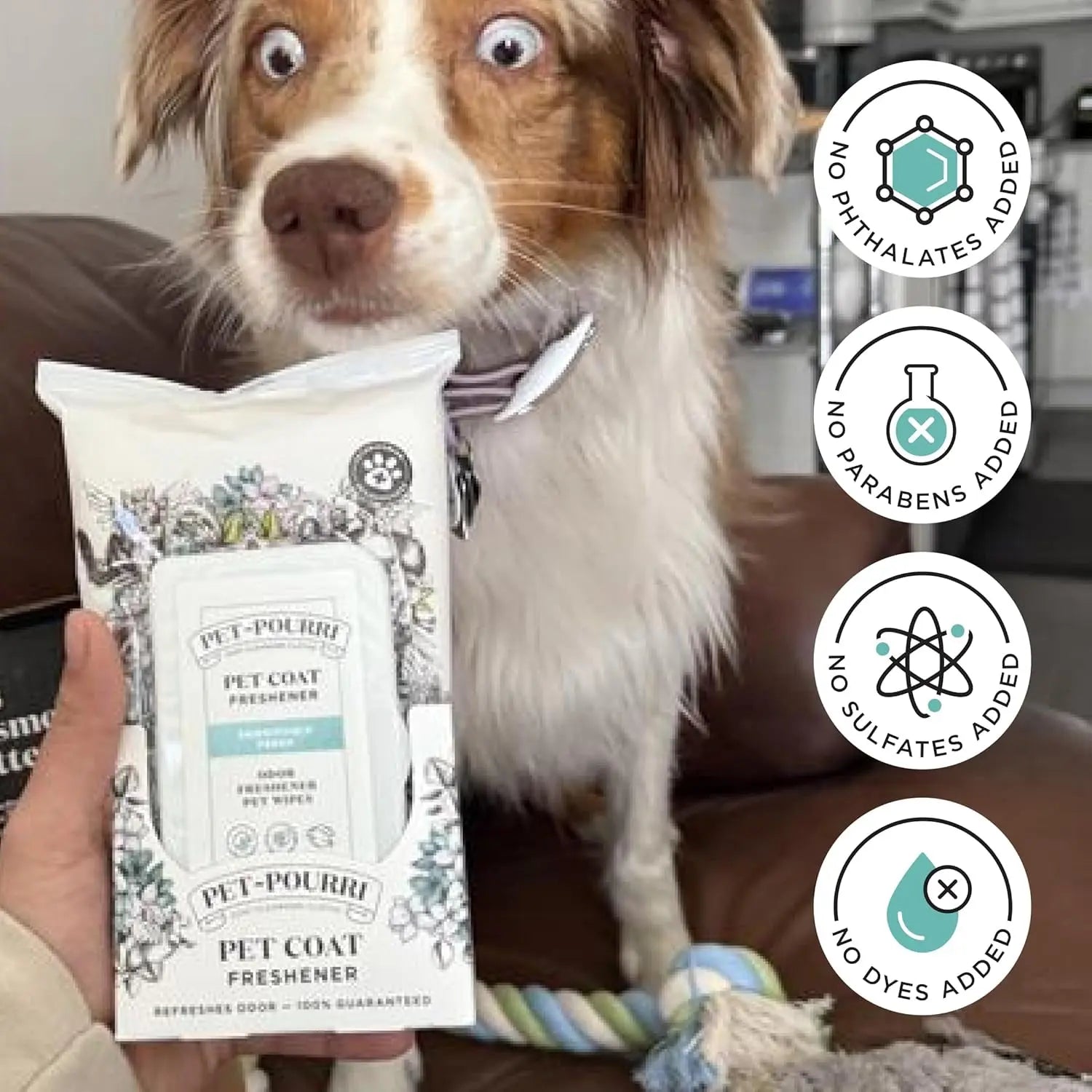 Pawsitively Fresh Pet Wipes Plant Based Deodorizing 50ct