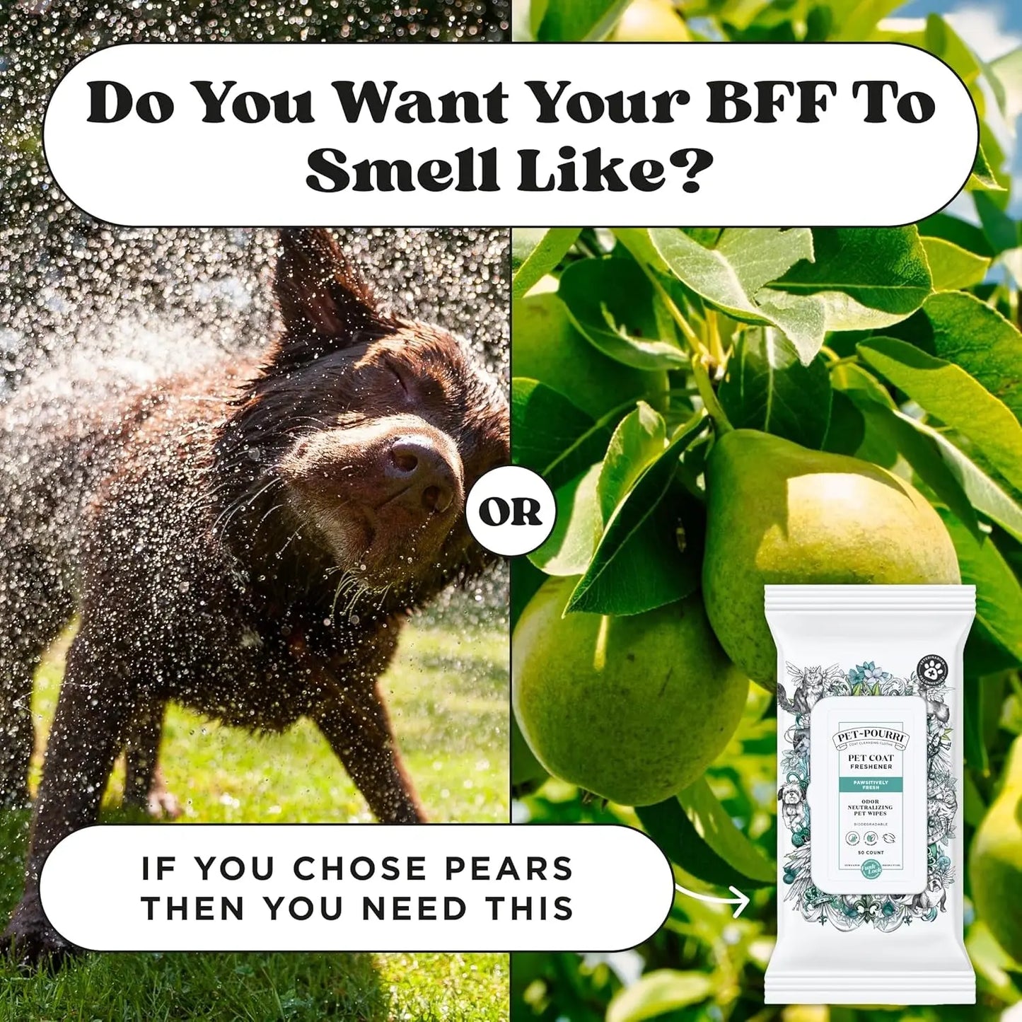 Pawsitively Fresh Pet Wipes Plant Based Deodorizing 50ct