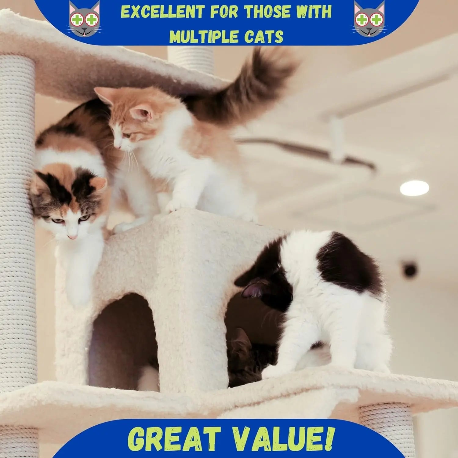 Premium Catnip 6oz or 12oz Stalkless Strong Organic