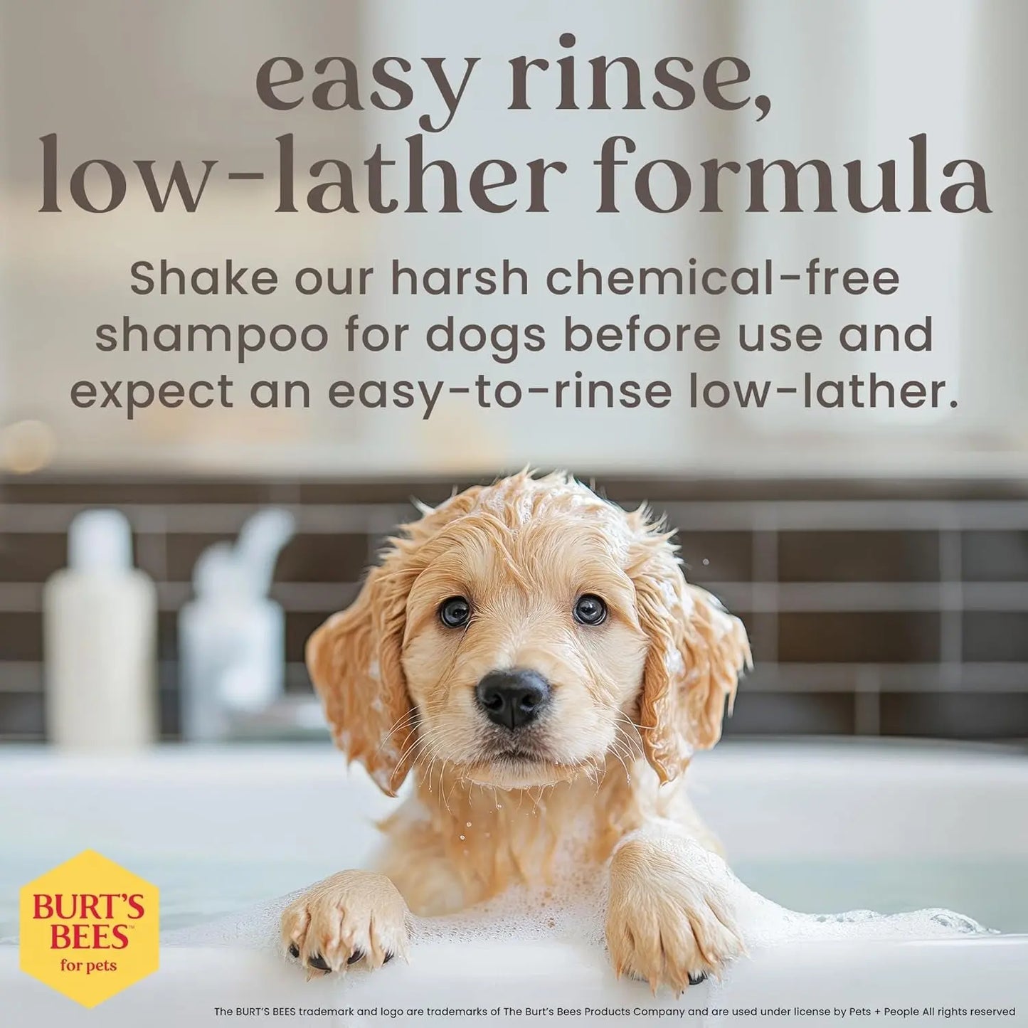 Puppy Shampoo Conditioner Tear Free Sensitive Skin Gentle Dog 16oz