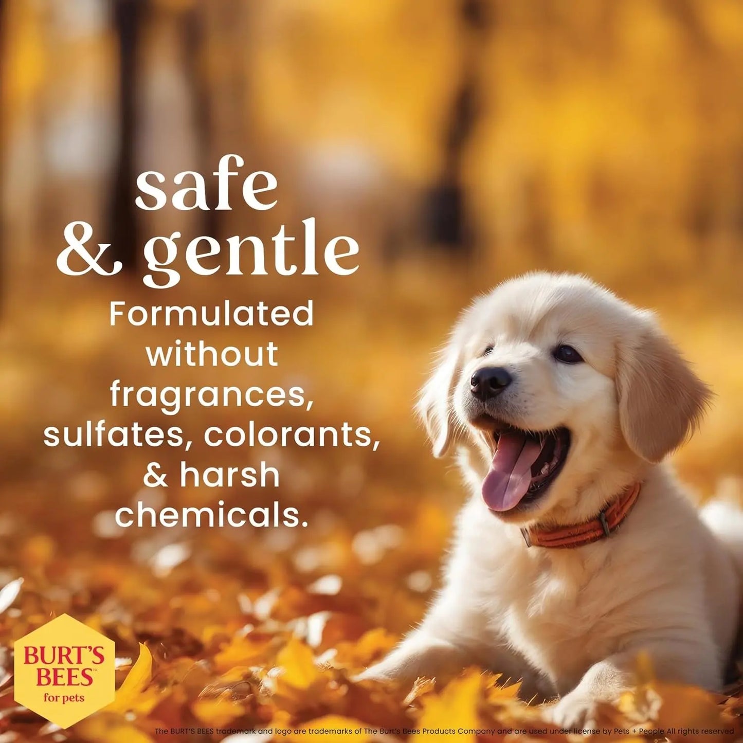 Puppy Shampoo Conditioner Tear Free Sensitive Skin Gentle Dog 16oz