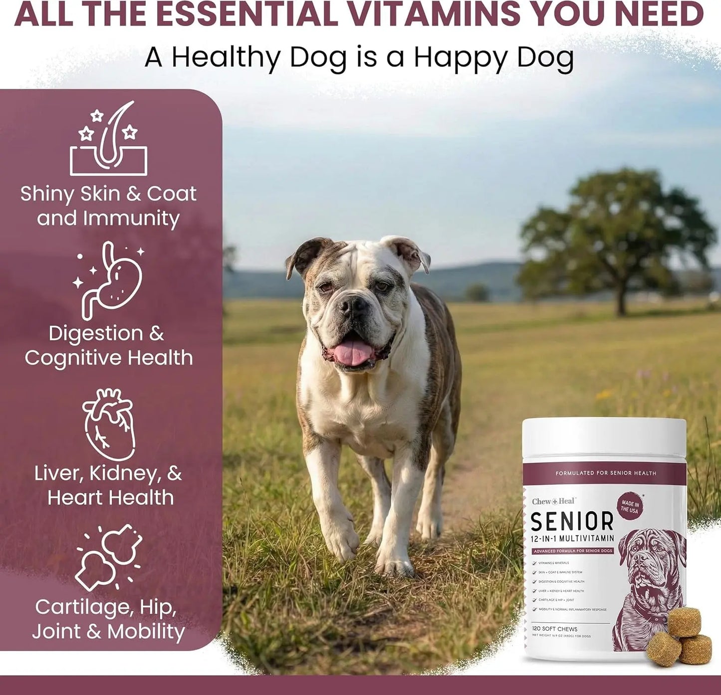 Senior Dog Multivitamin Joint Support Glucosamine Omega Soft Chews 120Ct