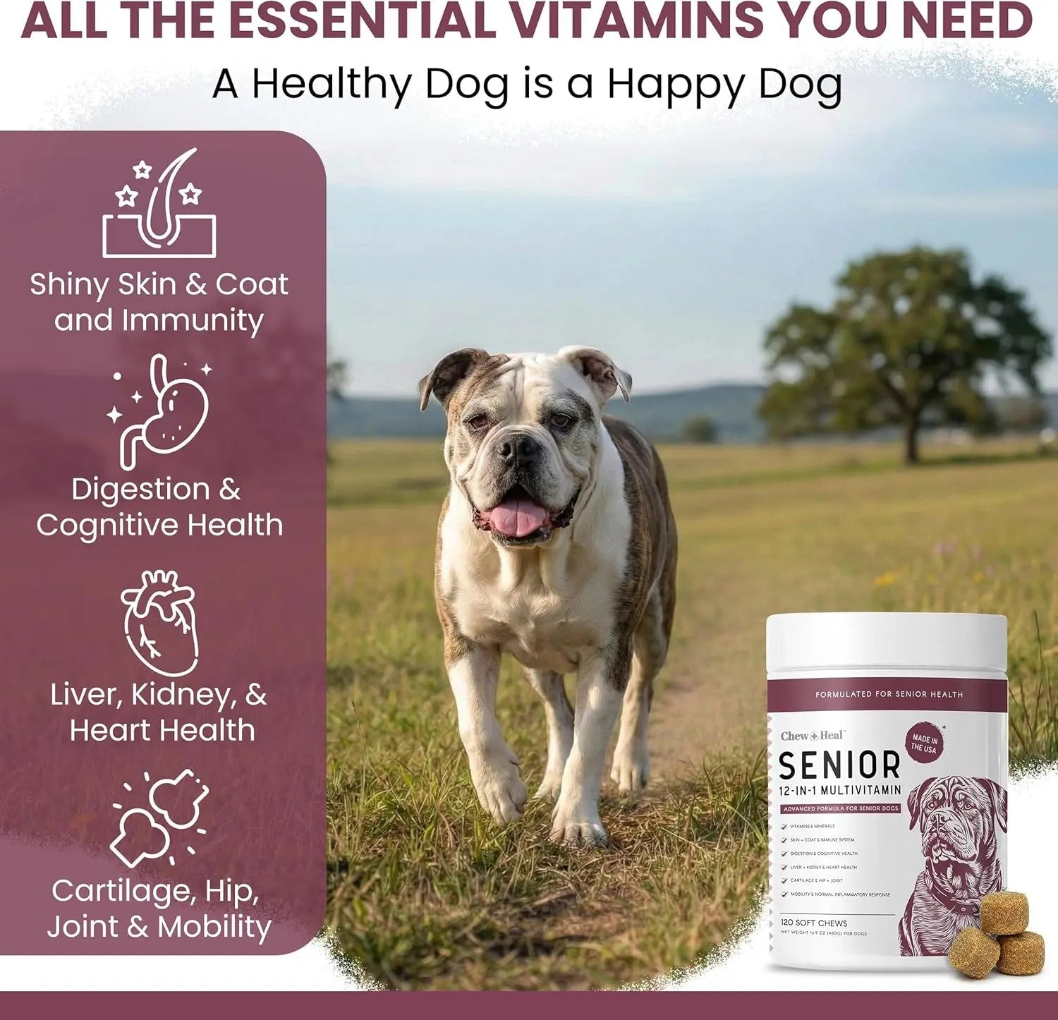 Senior Dog Multivitamin Joint Support Glucosamine Omega Soft Chews 120Ct