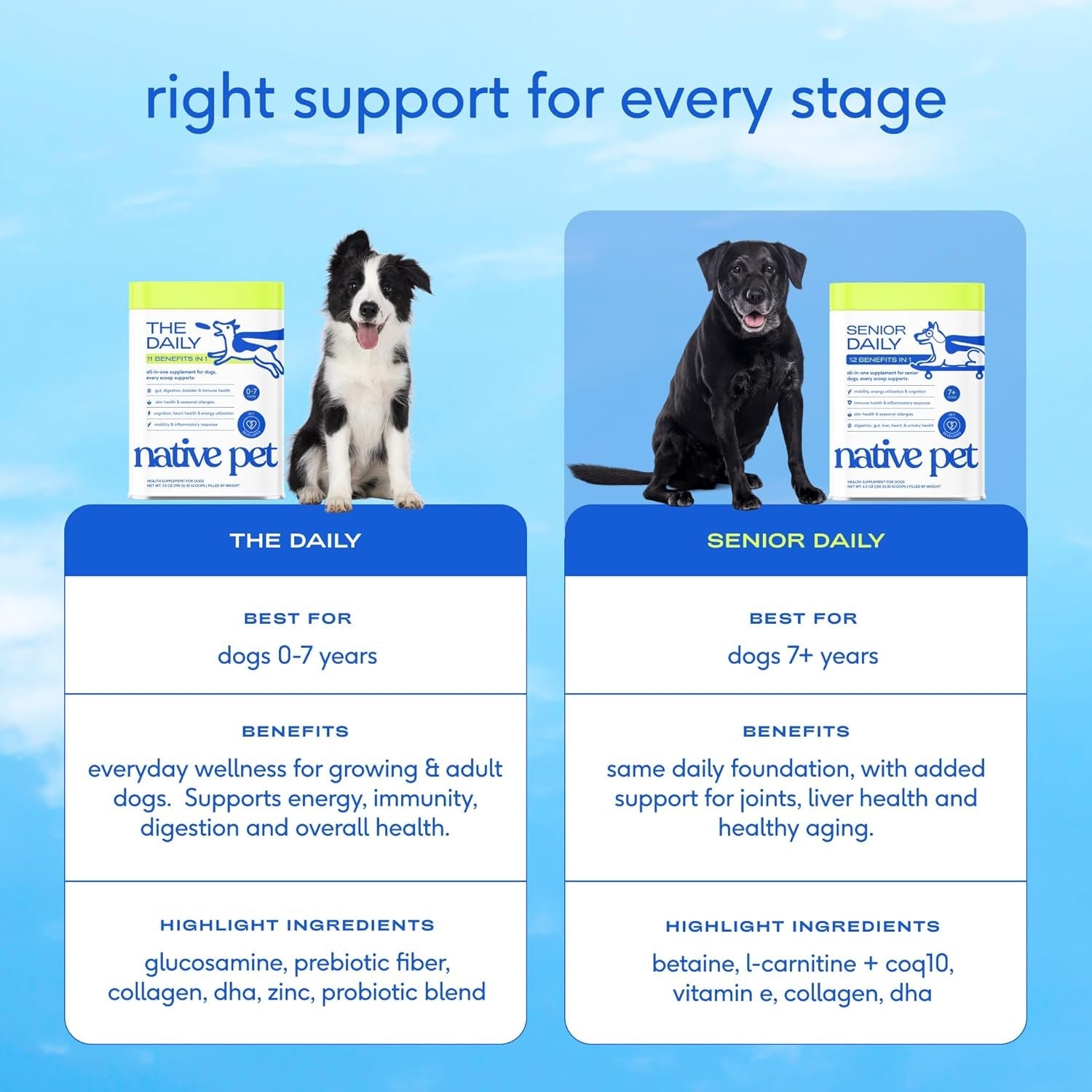 Senior Dog Multivitamin Powder 12-in-1 Joint Brain Digestion Immune 30 Scoops