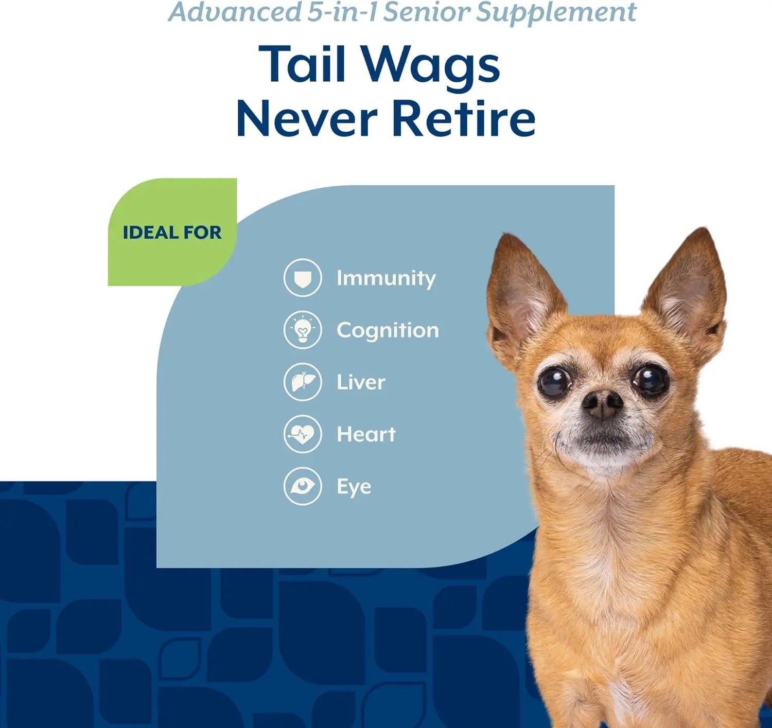 Senior Dog Supplement 5-in-1 Immune Heart Liver Support Soft Chews 120ct