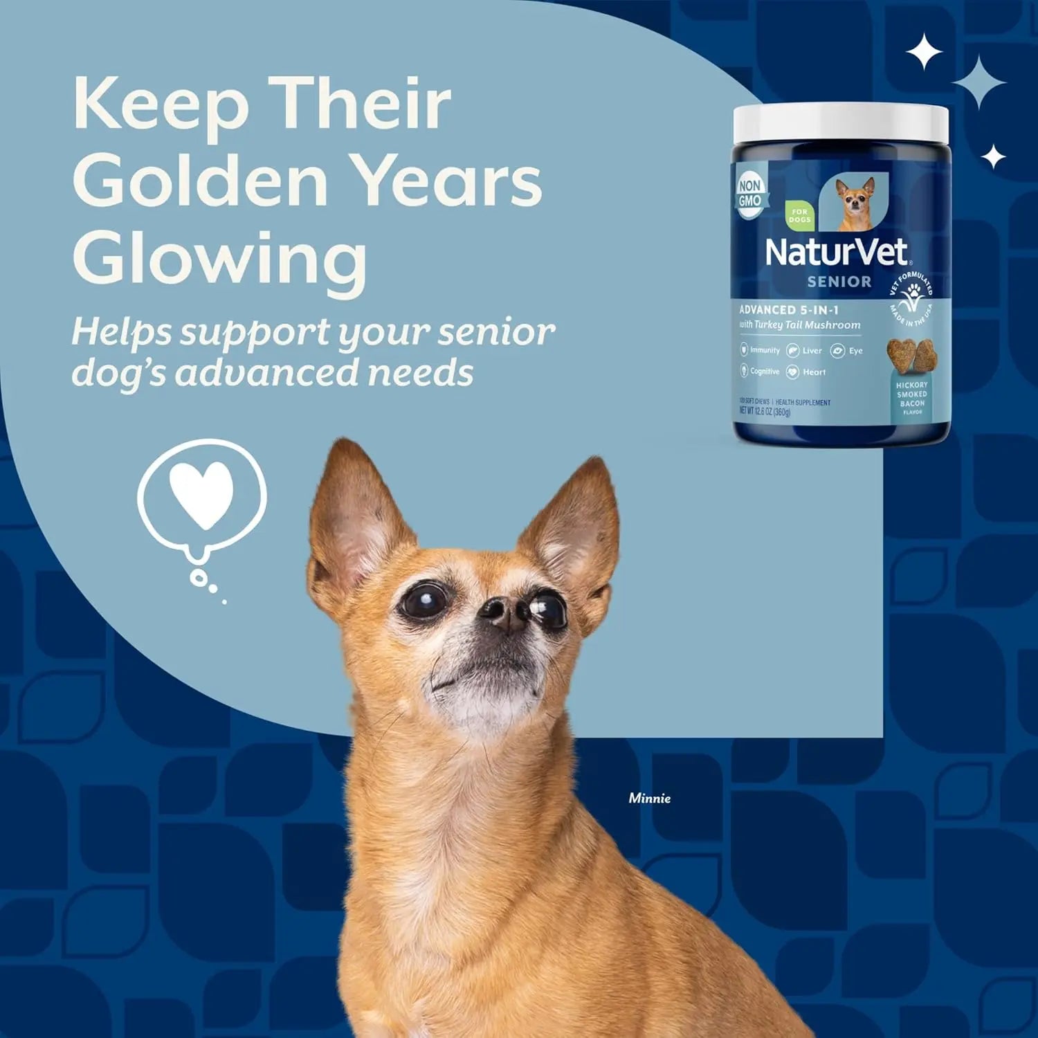 Senior Dog Supplement 5-in-1 Immune Heart Liver Support Soft Chews 120ct