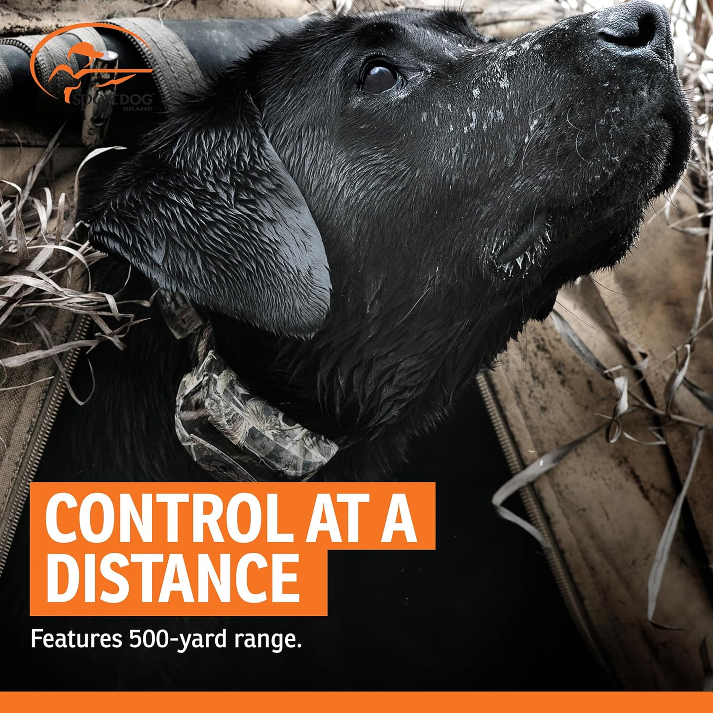 SportDOG 425X Dog Training Collar 500 Yard Waterproof Rechargeable Camo