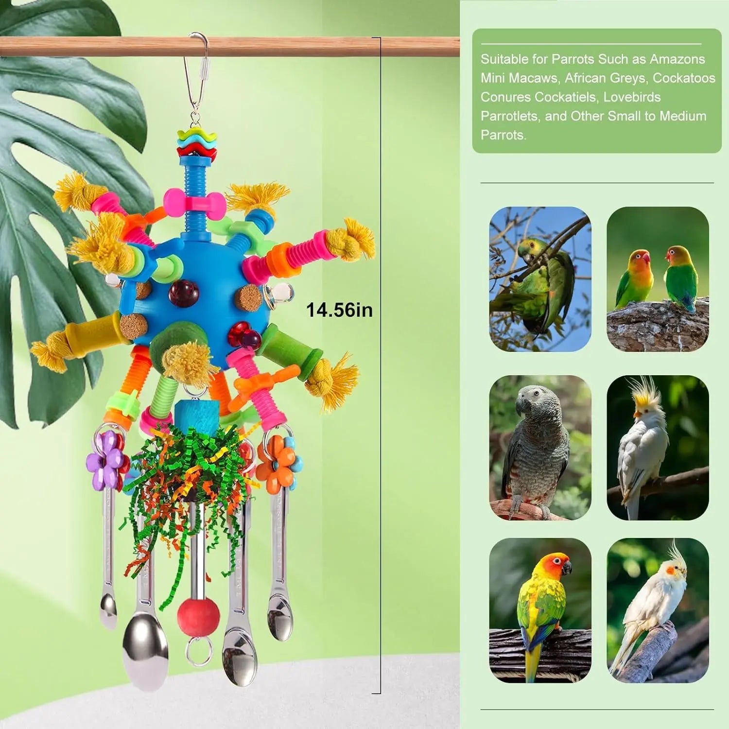 Stainless Steel Spoon Parrot Toy w/ Acrylic & Foraging Ball Blue