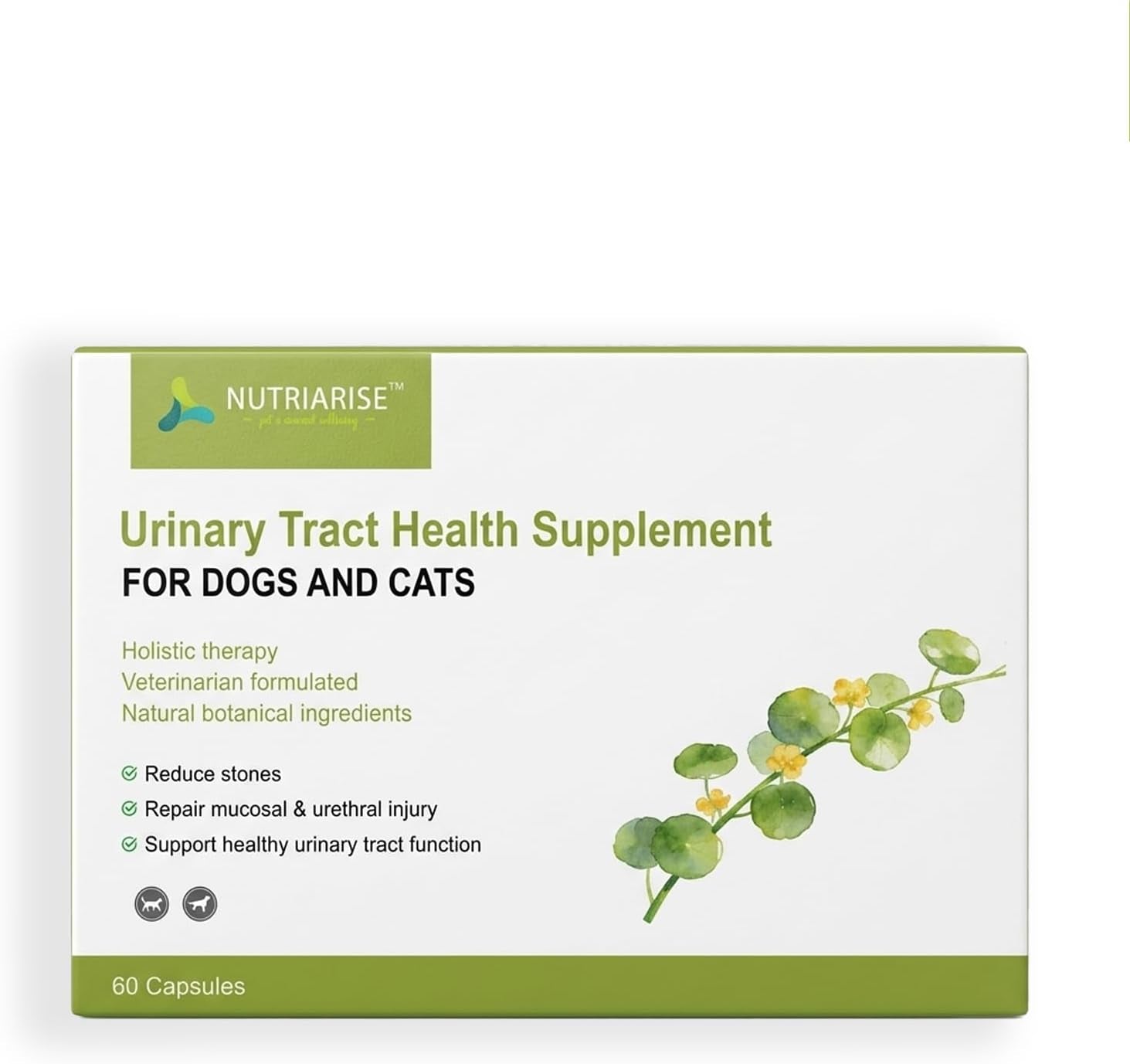 Dog Cat Urinary Tract Supplement Stone Breaker Bladder Kidney Crystal Support Default Title