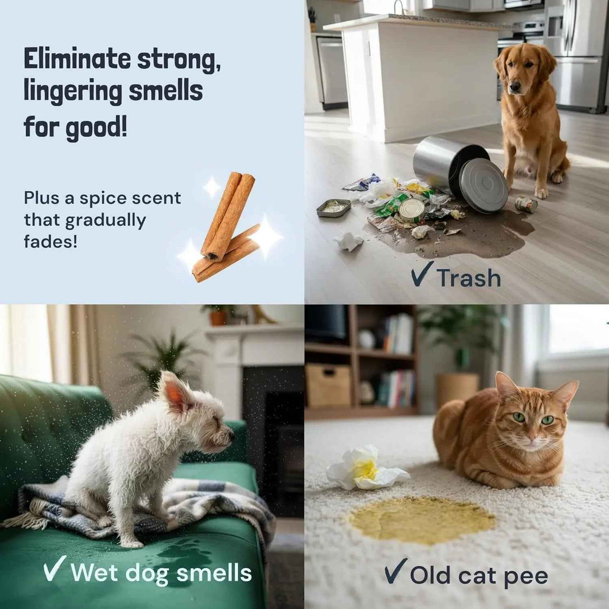 Pet Stain & Odor Remover Enzyme Cleaner Dog & Cat Urine Spray(Lavender & Mint)