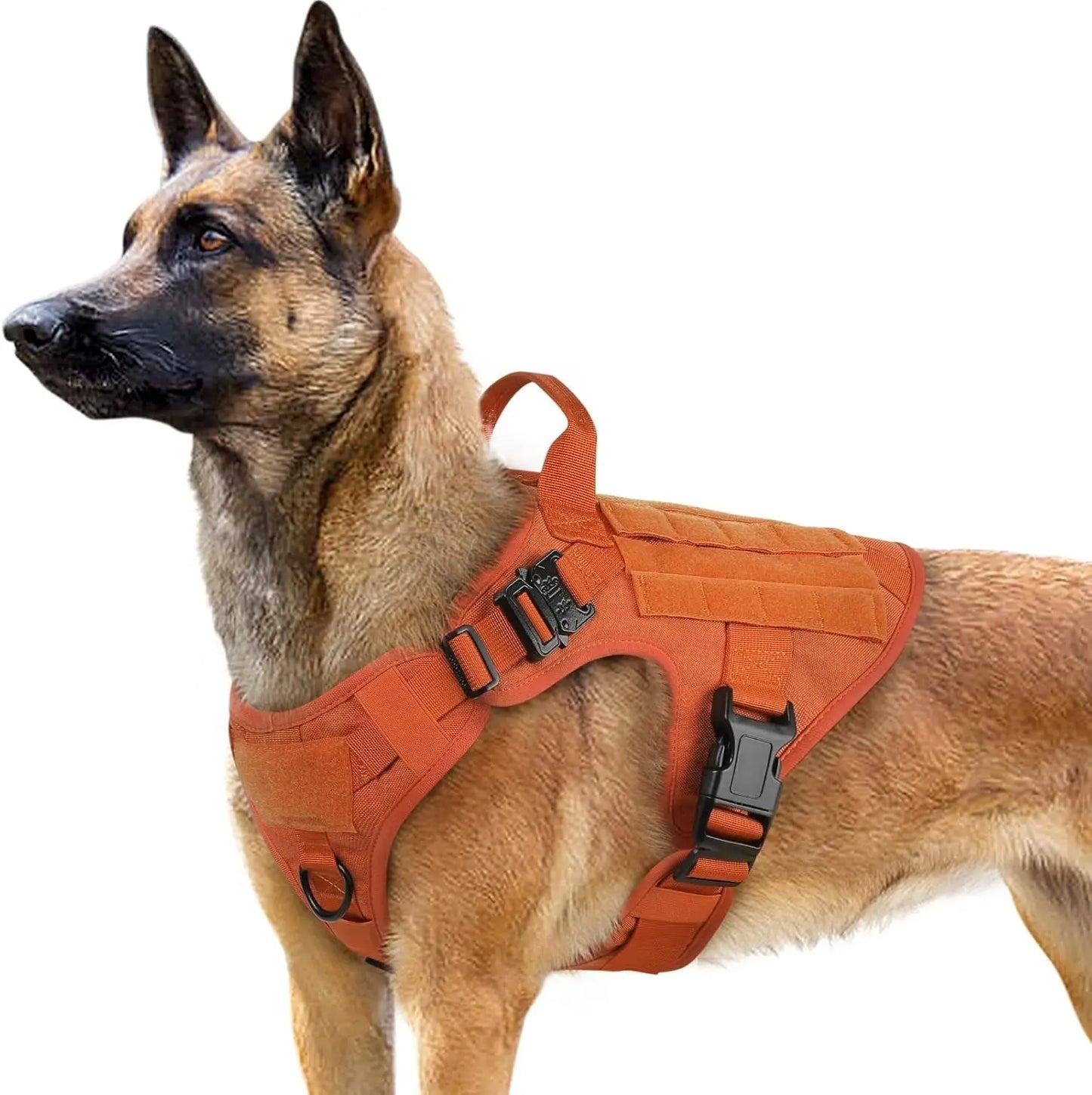 Tactical Dog Harness No Pull Heavy Duty Military Vest Large Adjustable Orange Large