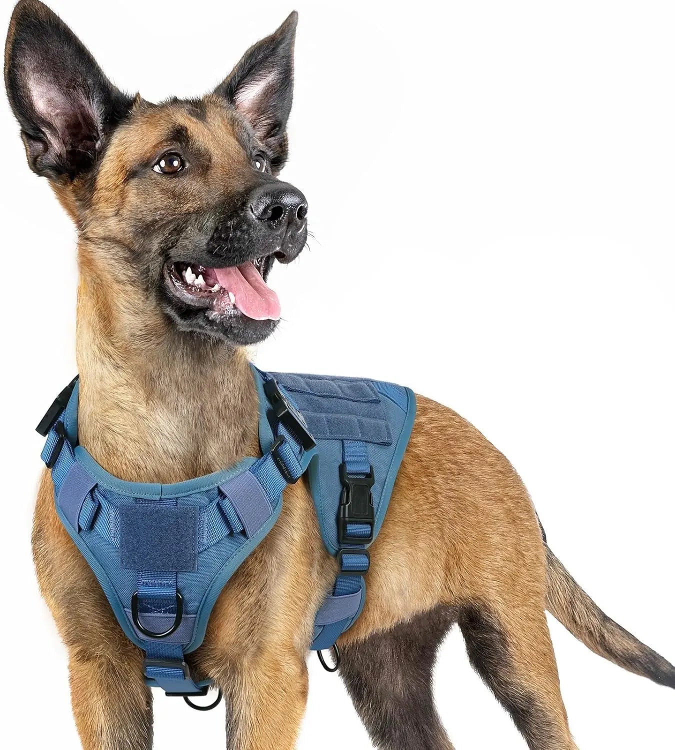 Tactical Dog Harness No Pull Heavy Duty Military Vest Large Adjustable Blue Small