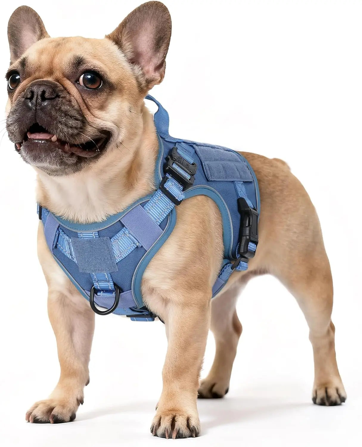 Tactical Dog Harness No Pull Heavy Duty Military Vest Large Adjustable Blue Reflective Small