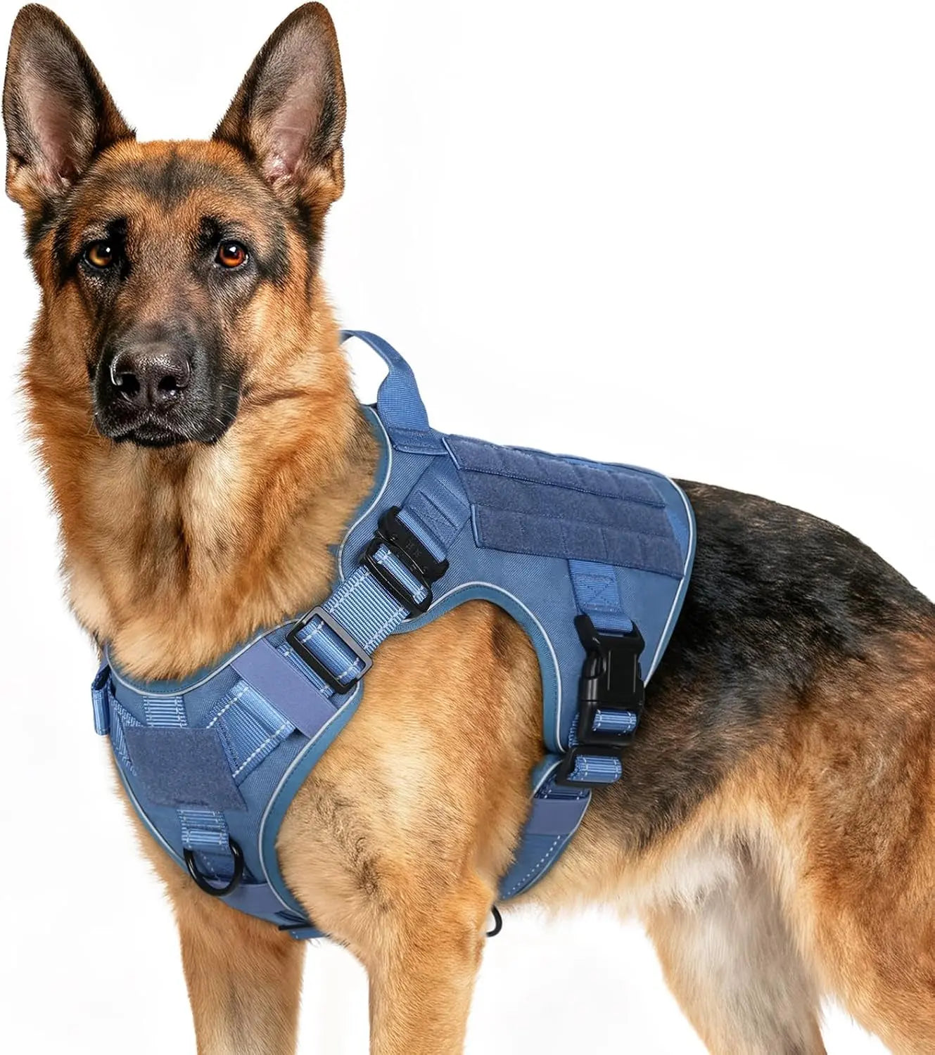 Tactical Dog Harness No Pull Heavy Duty Military Vest Large Adjustable Blue Reflective X-Large