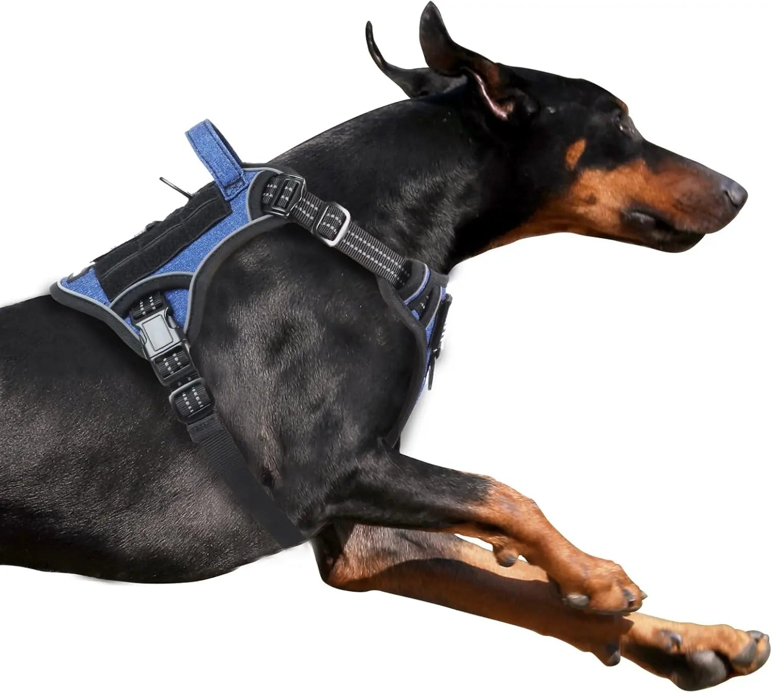Tactical No-Pull Dog Harness with Handle, Reflective Adjustable Training Vest Denim Blue Xl(Neck:22-31", Chest:23-42")