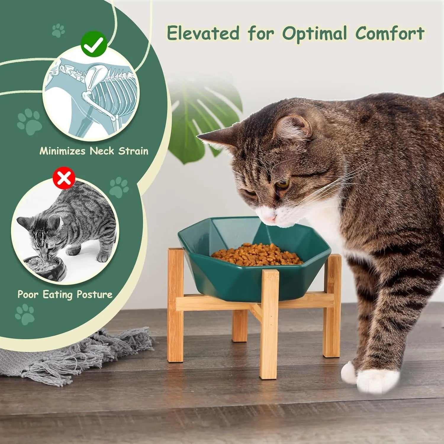 Tilted Elevated Ceramic Pet Bowl with Bamboo Stand | Modern Feeding Dish