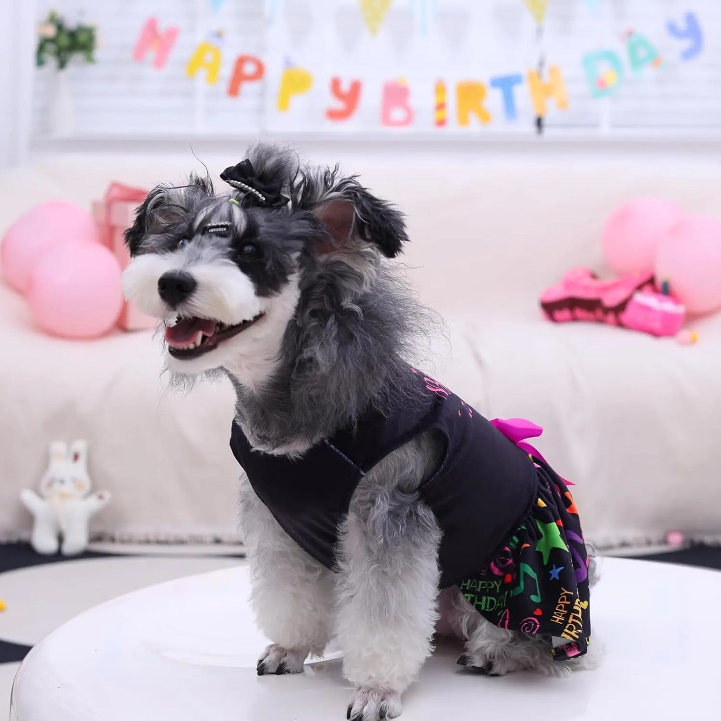Velvet Dog Birthday and Holiday Dress For Small Dogs Puppy Holiday Skirt XXS–L