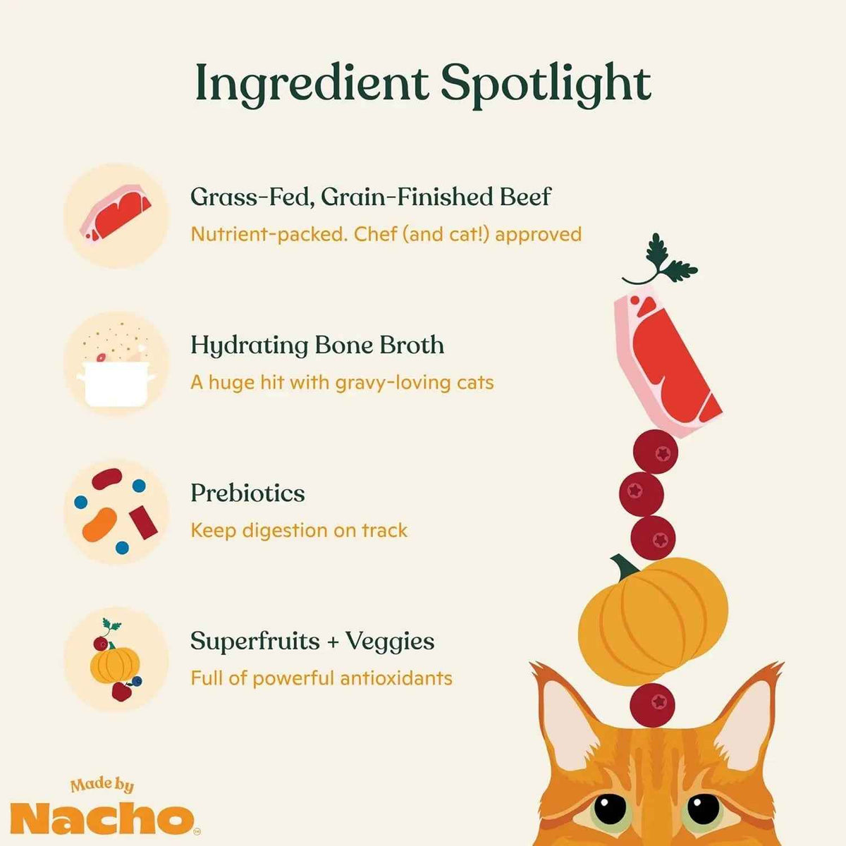 Wet Cat Food Beef Bone Broth High Protein Prebiotic Digestive Health 10Pk