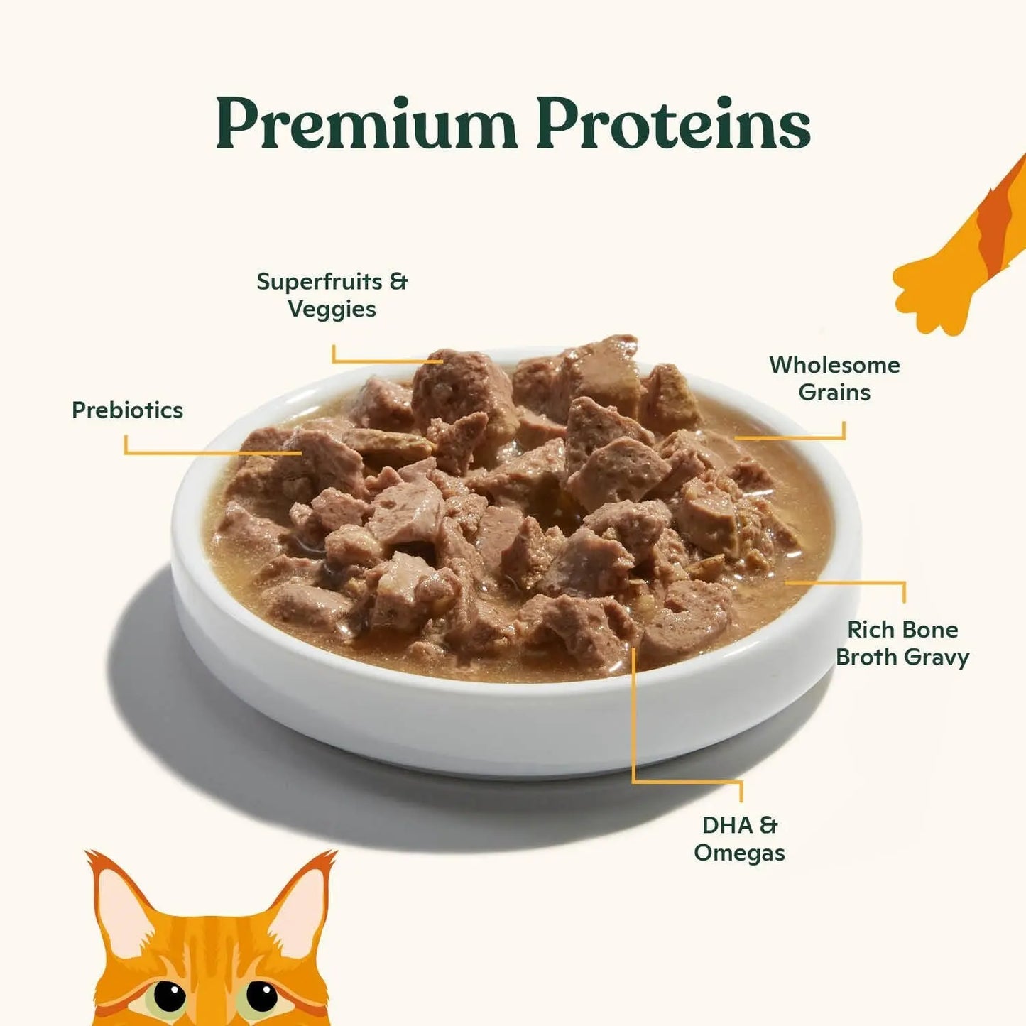 Wet Cat Food Variety Pack Bone Broth Gravy High Protein Chicken Salmon 12Pk